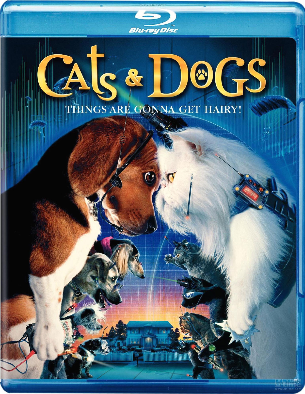 [猫狗大战1].Cats.and.Dogs.2001.BluRay.1080pAVC.DTS-HD.MA.5.1-HDS   22.52G-1.jpg