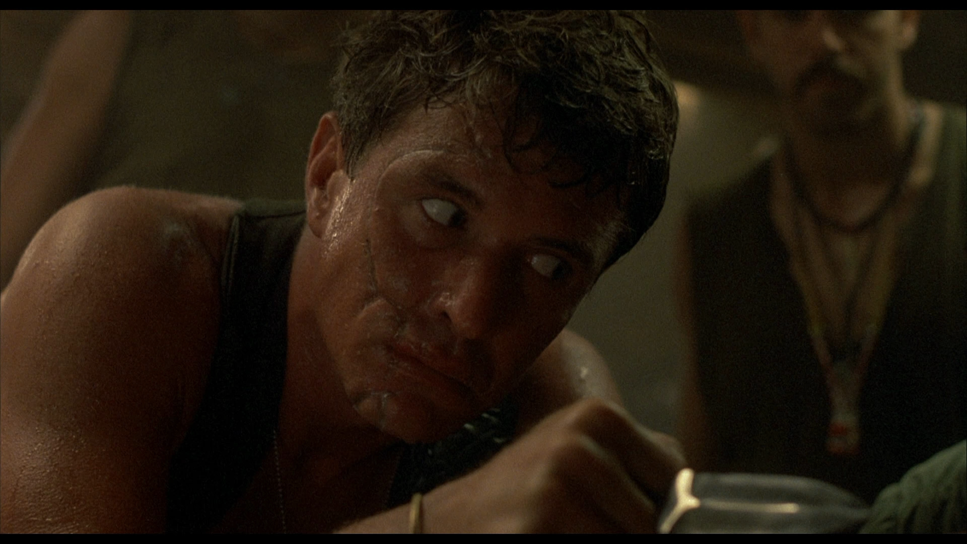 [野战排].Platoon.25th.Anniversary.Edition.1986.BluRay.1080p.AVC.DTS-HD-Guoren    38.46G" s8 N8 ~2 [7 H1 ]7 M7 f' ~  N" o-6.png