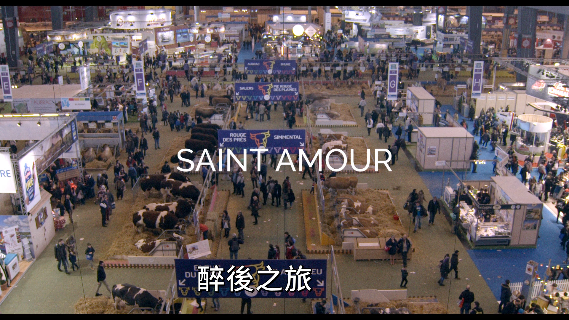 [醉后之旅].Saint.Amour.2016.FRA.BluRay.1080p.AVC.DTS-HD.MA.5.1-DiY@KBu    43.71G-2.png