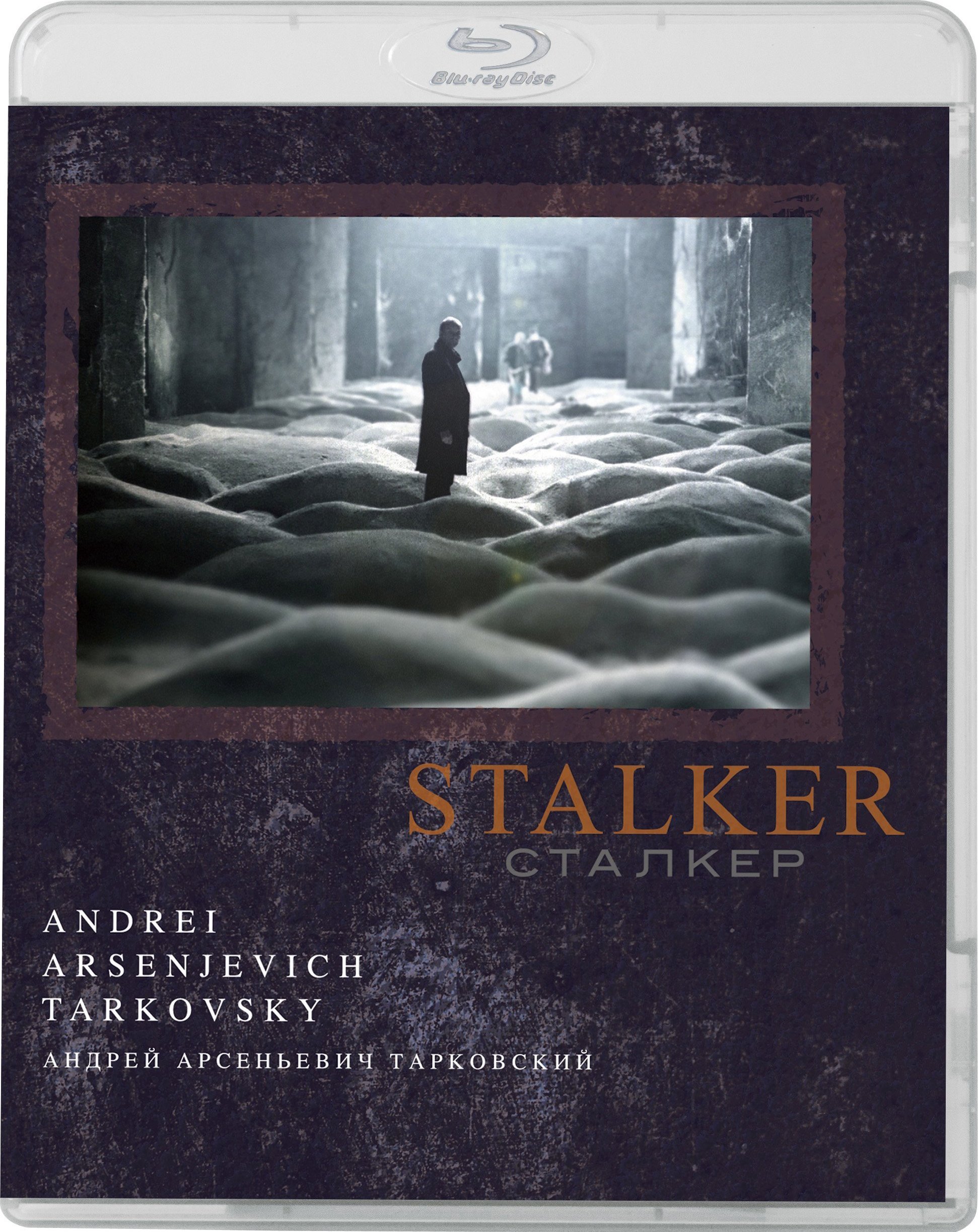 [潜行者].Stalker.1979.CC.USA.BluRay.1080p.AVC.LPCM.1.0-SUPERSiZE   45.73G% b% r0 d2 D7 ^$ X5 P* ^$ n3 @4 h-1.jpg