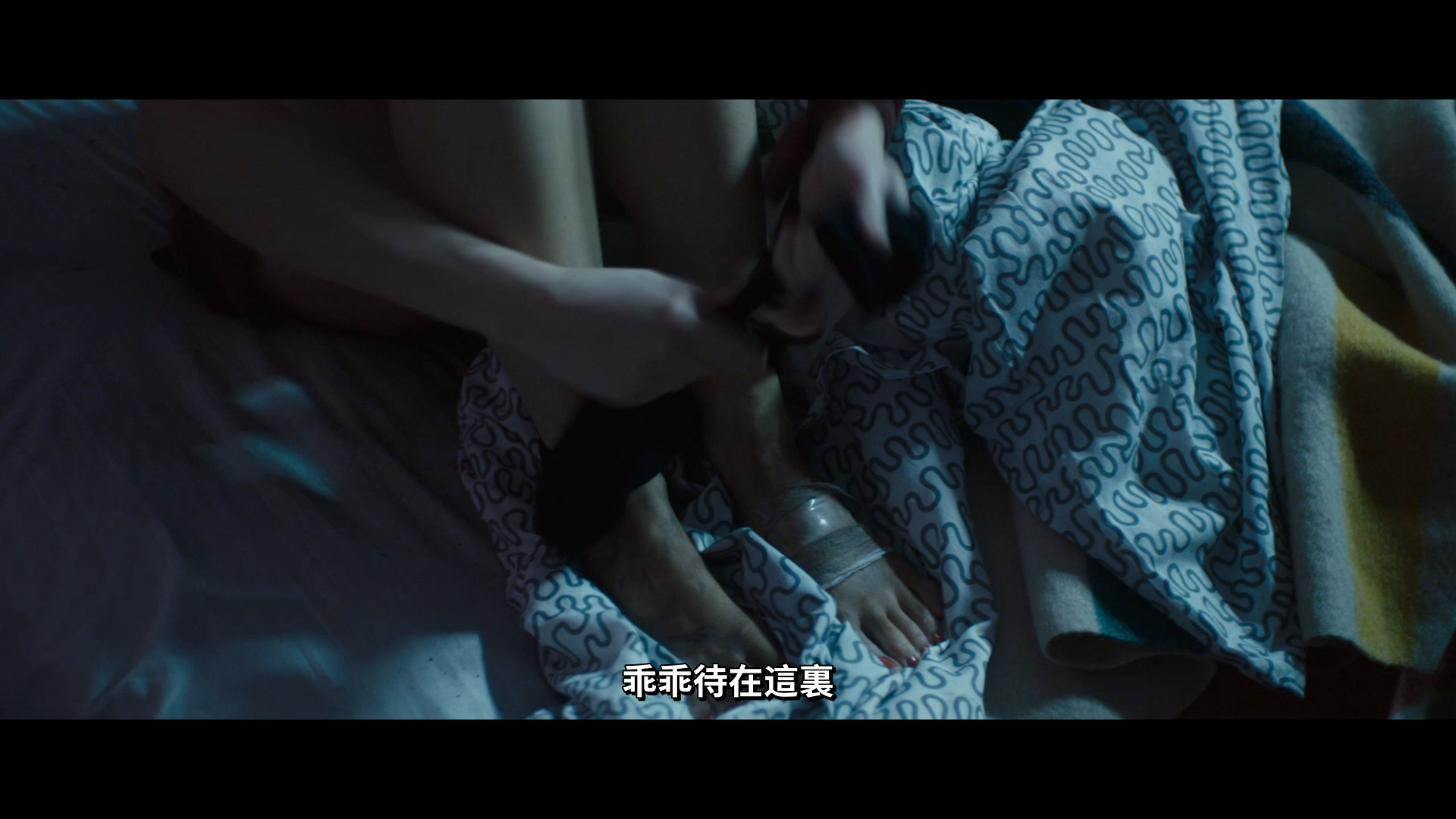 [让她走].Let.Her.Out.2016.BluRay.1080p.AVC.DTS-HD.MA.5.1-DiY@KBu  15.73G-13.png