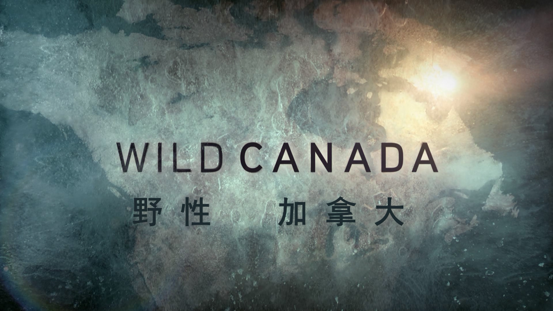 [野性加拿大].Wild.Canada.D01.2014.BluRay.1080i.VC-1.DTS-HD.MA.5.1-DIY@Yuanyuan  22.55G-8.png