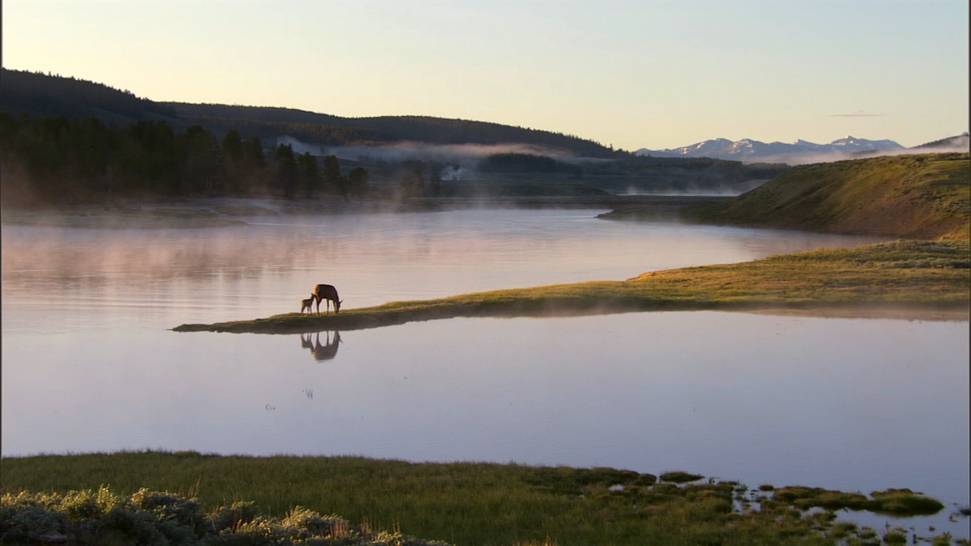 [BBC·黄石公园].YellowStone.2009.BluRay.1080i.AVC.DTS-HD.MA.5.1-HDBiger      40.39G. Z+ s6 u' y% F% X$ l-10.png