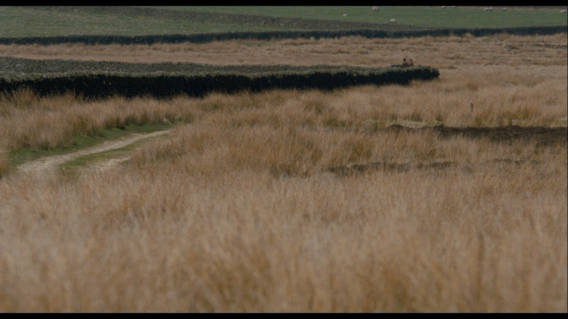 [简爱].Jane.Eyre.2011.BluRay.1080p.AVC.DTS-HD.MA.5.1-DIY-Anitafayer     39.44G-10.png