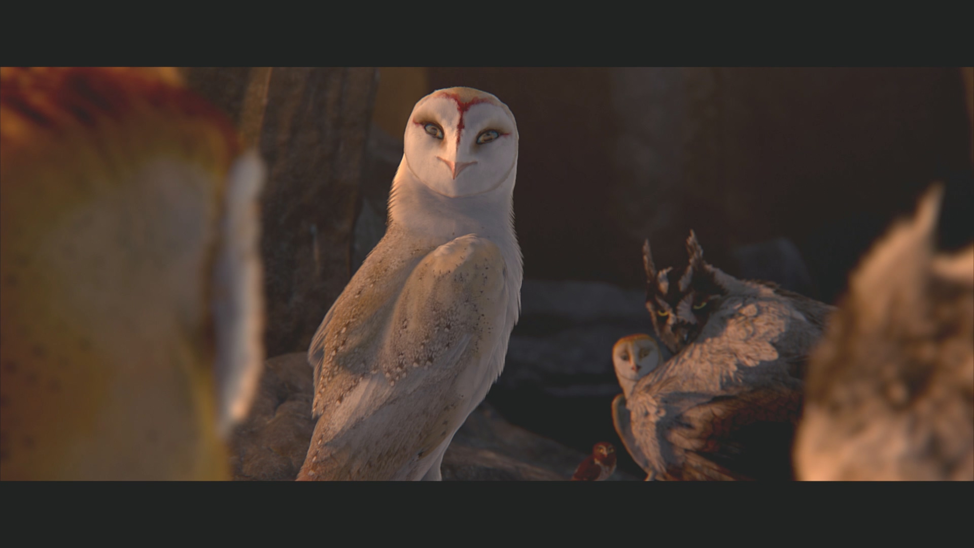 [猫头鹰王国].Legend.of.the.Guardians.The.Owls.of.Ga'Hoole.2010.BluRay.1080p.AVC.DTS-HD.MA.5.1-XF  37.54G' u; X. B1 g. v7 T-6.jpg