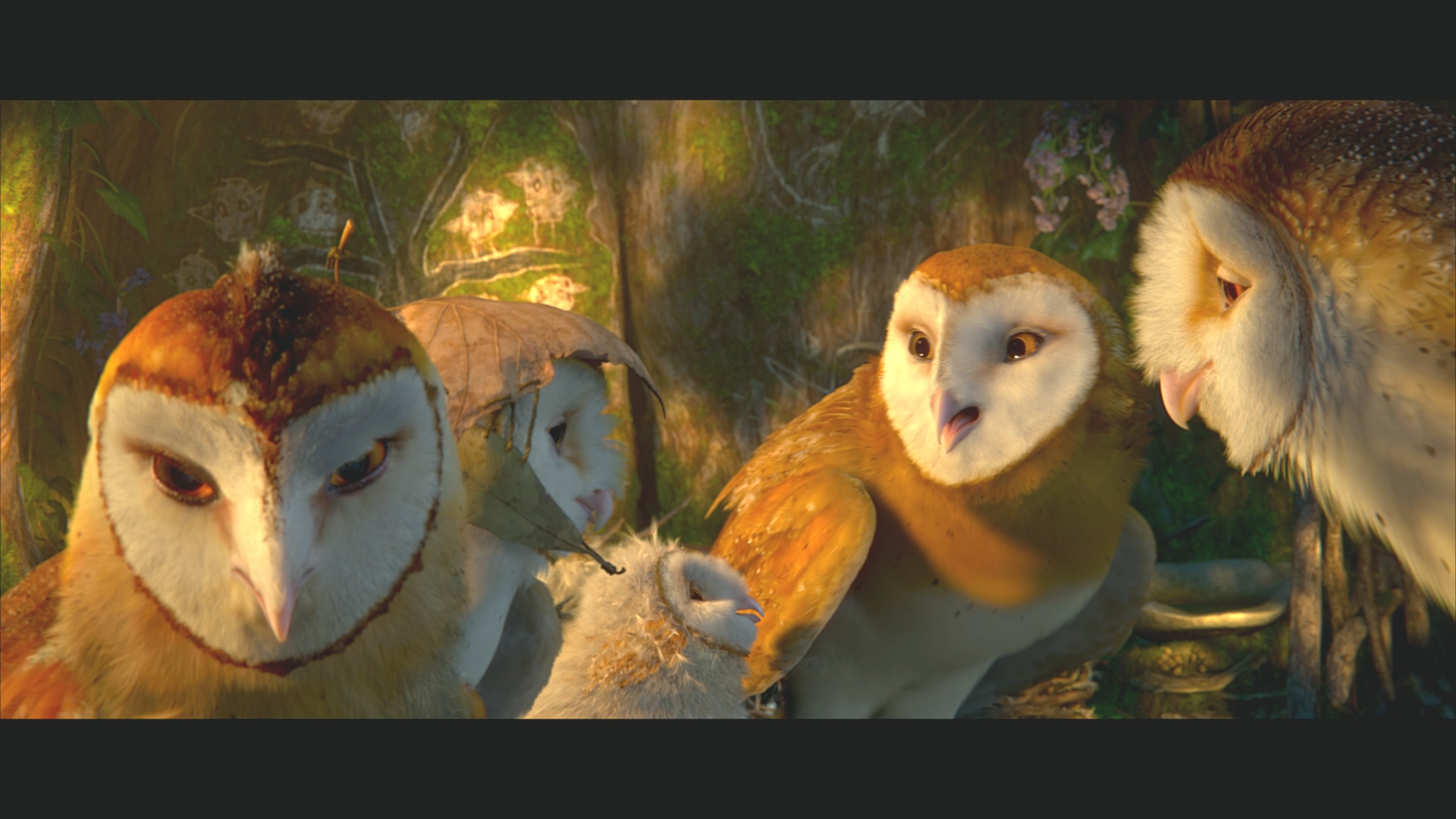 [猫头鹰王国].Legend.of.the.Guardians.The.Owls.of.Ga'Hoole.2010.BluRay.1080p.AVC.DTS-HD.MA.5.1-XF  37.54G' u; X. B1 g. v7 T-4.jpg