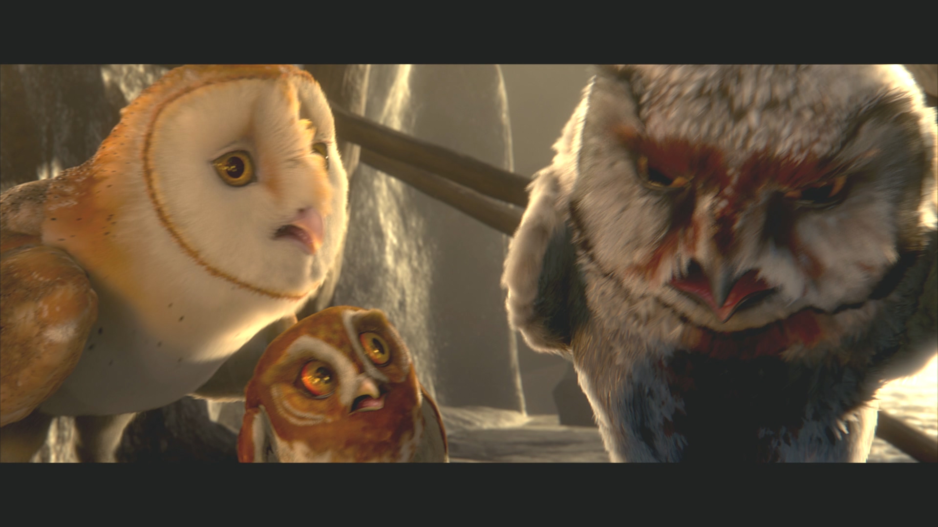 [猫头鹰王国].Legend.of.the.Guardians.The.Owls.of.Ga'Hoole.2010.BluRay.1080p.AVC.DTS-HD.MA.5.1-XF  37.54G' u; X. B1 g. v7 T-7.jpg