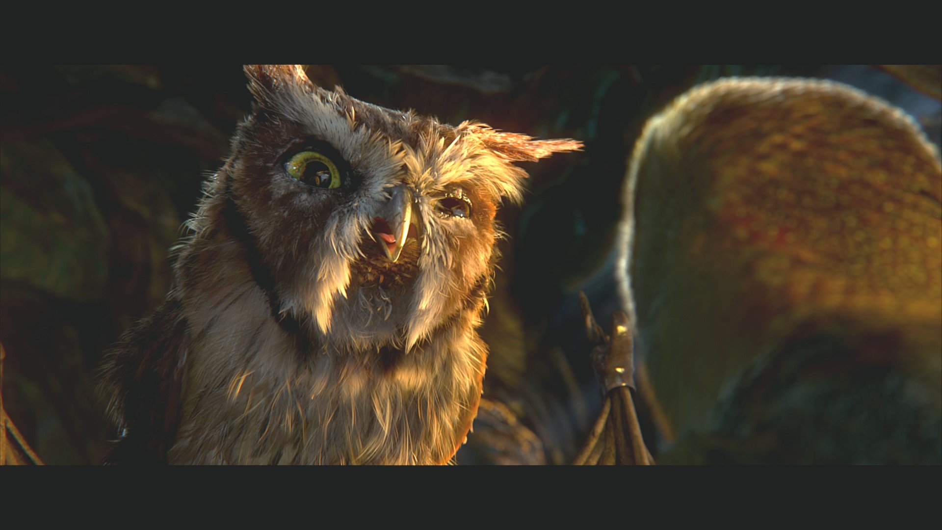 [猫头鹰王国].Legend.of.the.Guardians.The.Owls.of.Ga'Hoole.2010.BluRay.1080p.AVC.DTS-HD.MA.5.1-XF  37.54G' u; X. B1 g. v7 T-12.jpg