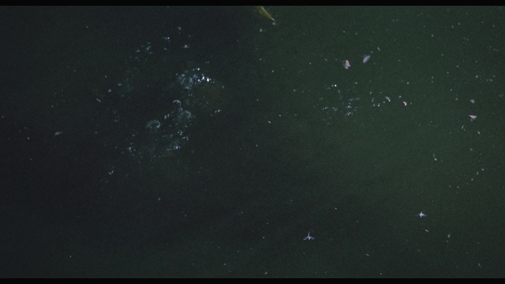 [陆上行舟].Fitzcarraldo.1982.BluRay.1080p.AVC.LPCM.1.0-VAR   45.11G-8.jpg