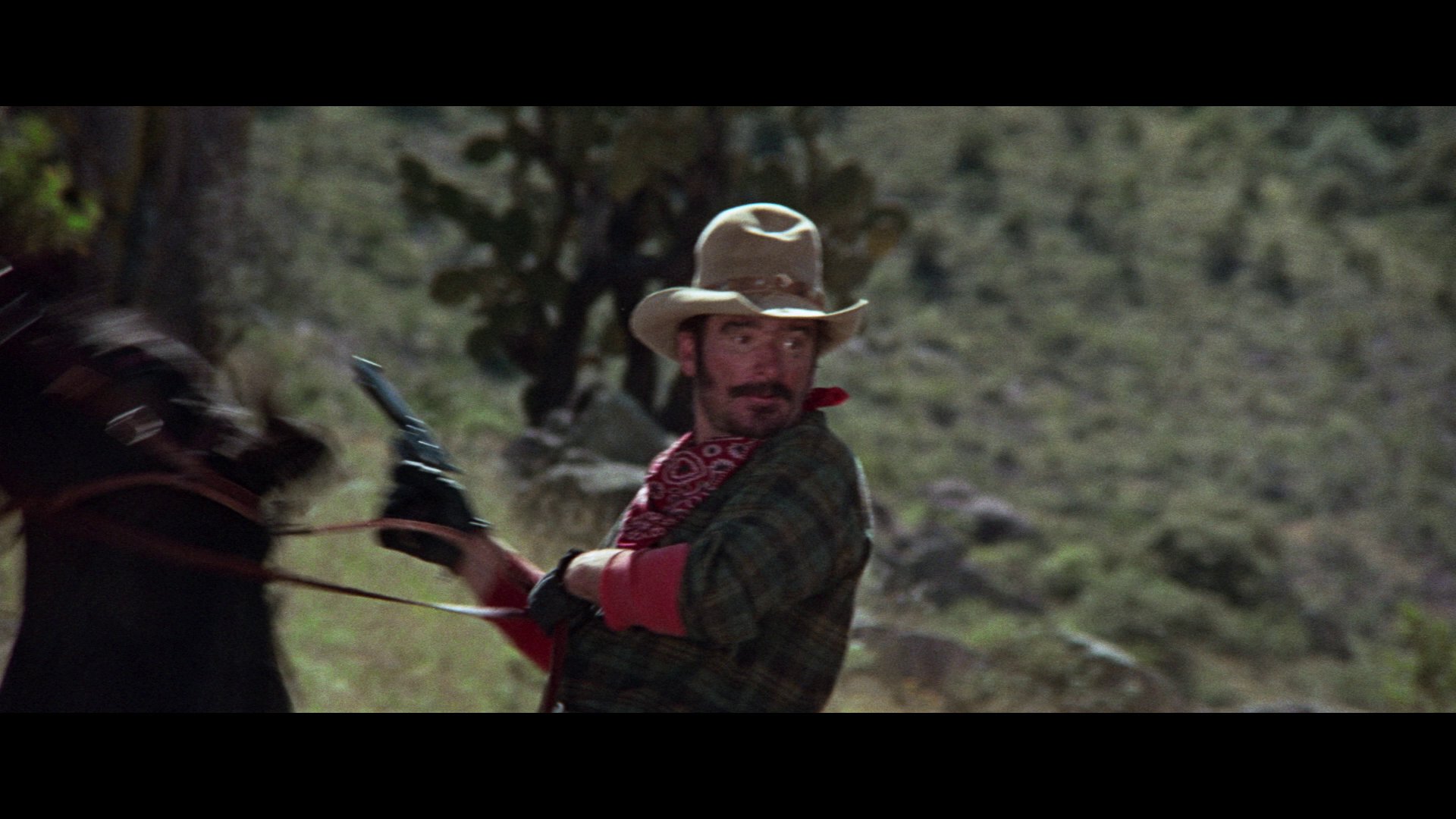 [白谷太阳].Chisum.1970.BluRay.1080p.AVC.DTS-HD.MA.2.0-NoGroup   32.33G-11.png