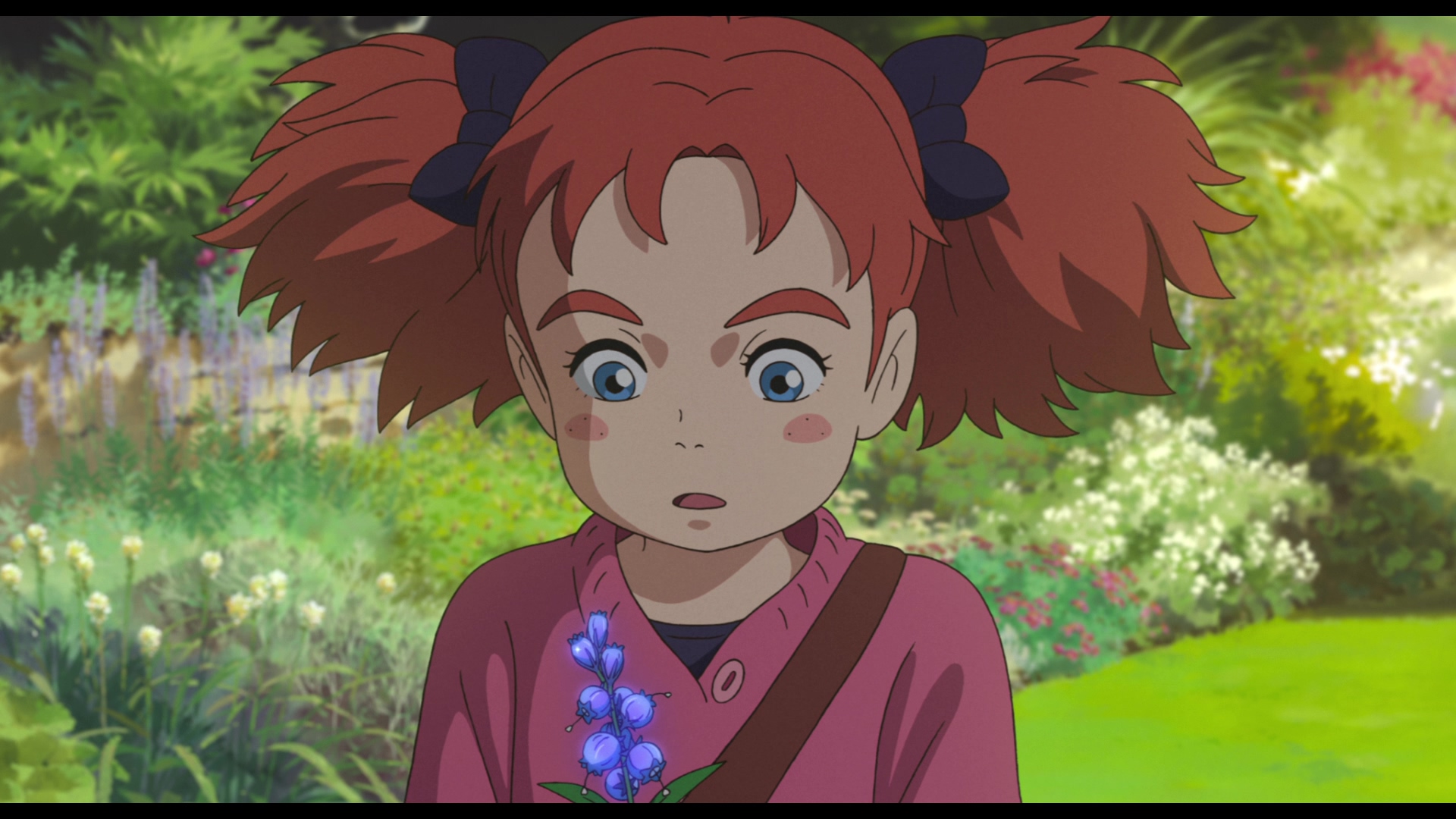 [玛丽与魔女之花].Mary.and.the.Witch's.Flower.2017.USA.BluRay.1080p.AVC.DTS-HD.MA.5.1-NoGroup   43.07G-3.jpg