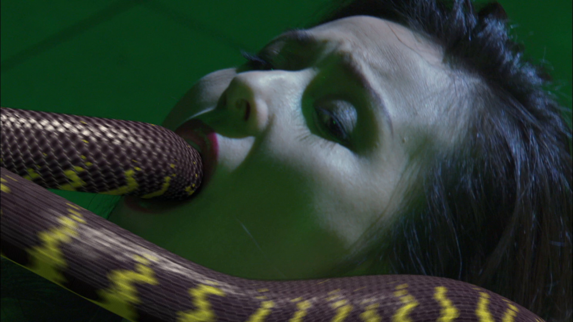 [花与蛇].Flower.And.Snake.2004.BluRay.1080p.AVC.LPCM.2.0-NoGroup   21.65G1 [9 ?! S8 R- }% d1 x& P, J  X-5.png