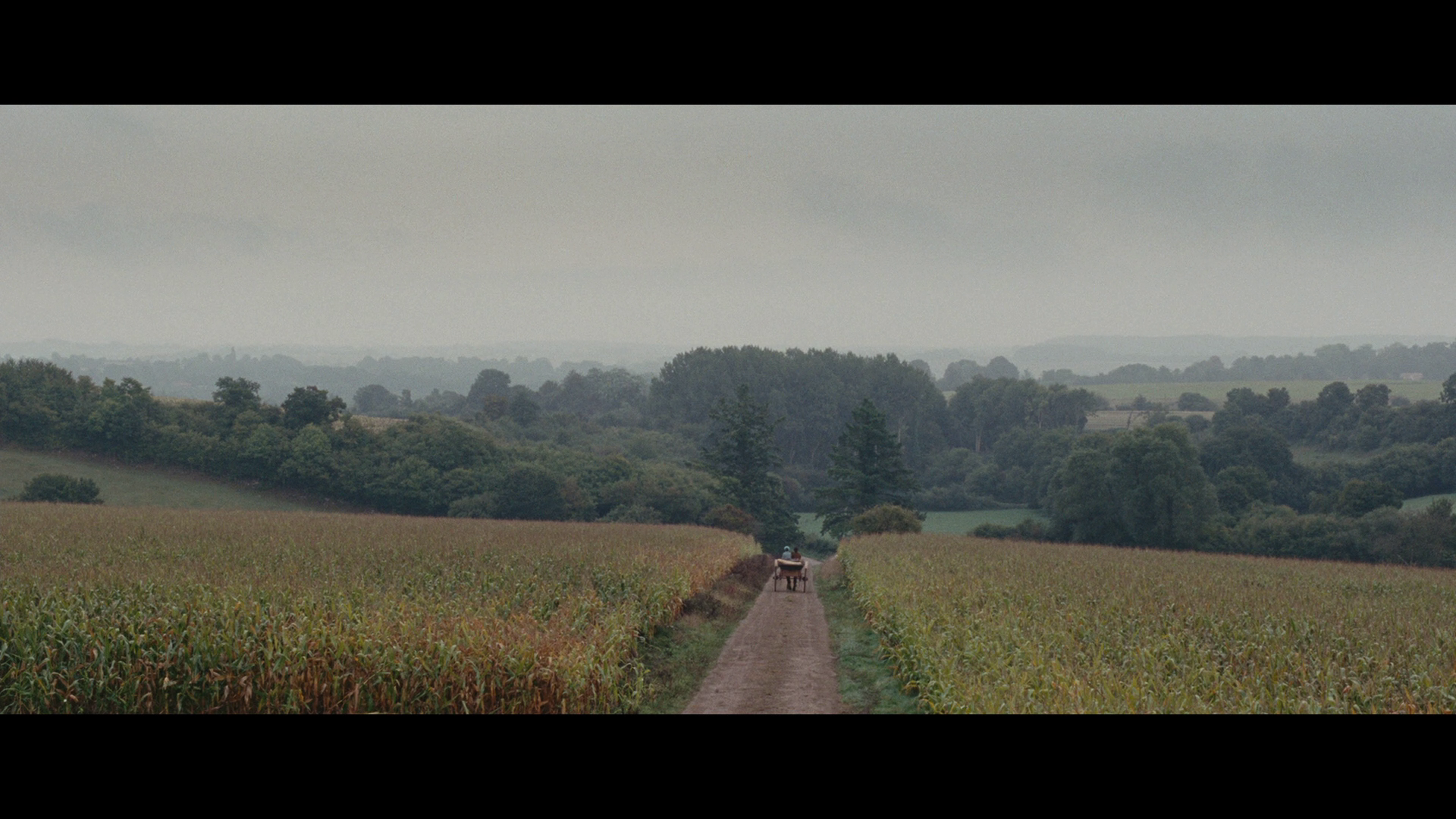 [包法利夫人].Madame.Bovary.2014.BluRay.1080p.AVC.TrueHD.5.1-DIY   20.5G-11.png