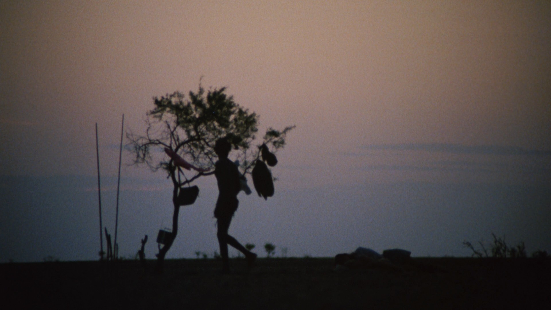 [小姐弟荒原历险].Walkabout.1971.BluRay.1080p.AVC.LPCM.1.0-NoGroup    39.52G-11.jpg