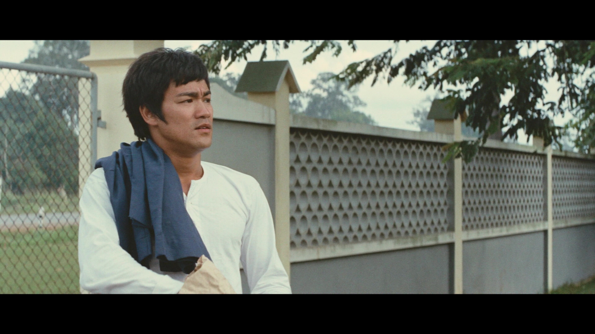 [唐山大兄].The.Big.Boss.1971.CHN.BluRay.1080p.AVC.DTS-HD.MA.5.1-Doraemon    22G-20.jpg