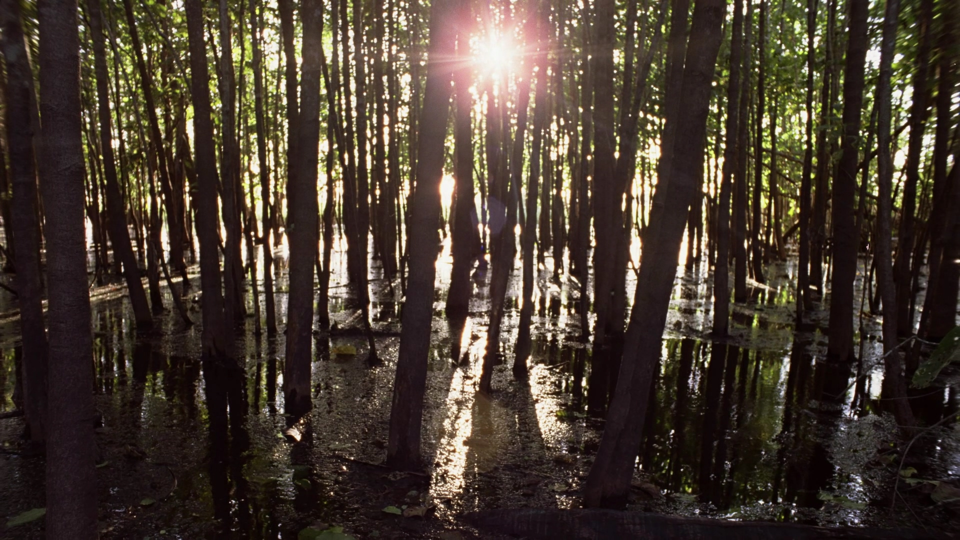 [十只独木舟].Ten.Canoes.2006.AUS.BluRay.1080p.AVC.LPCM.5.1-CultFilms    43.22G$ ~) `! K9 @6 X) H; r  S! z% F-2.jpg