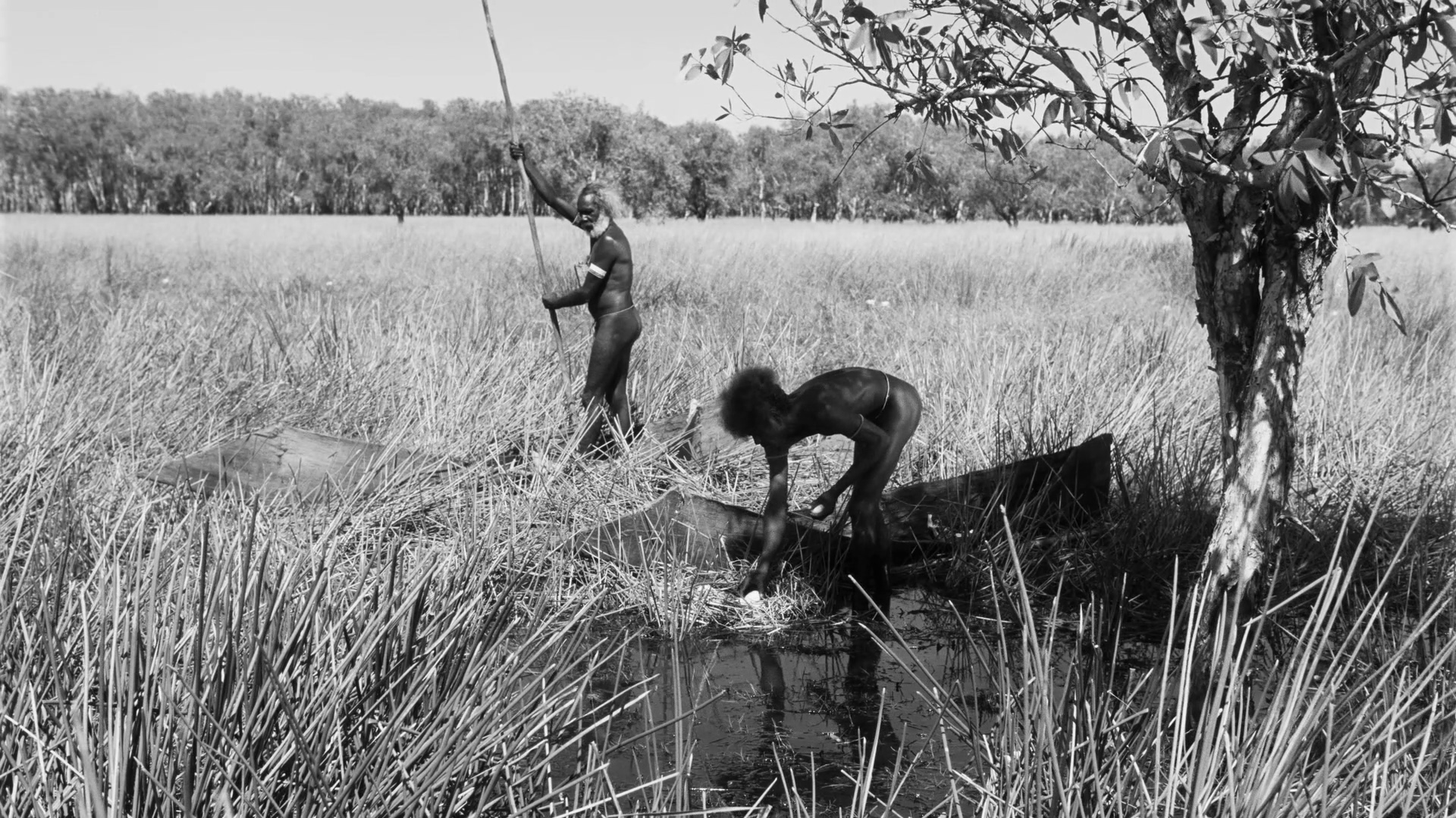 [十只独木舟].Ten.Canoes.2006.AUS.BluRay.1080p.AVC.LPCM.5.1-CultFilms    43.22G$ ~) `! K9 @6 X) H; r  S! z% F-7.jpg