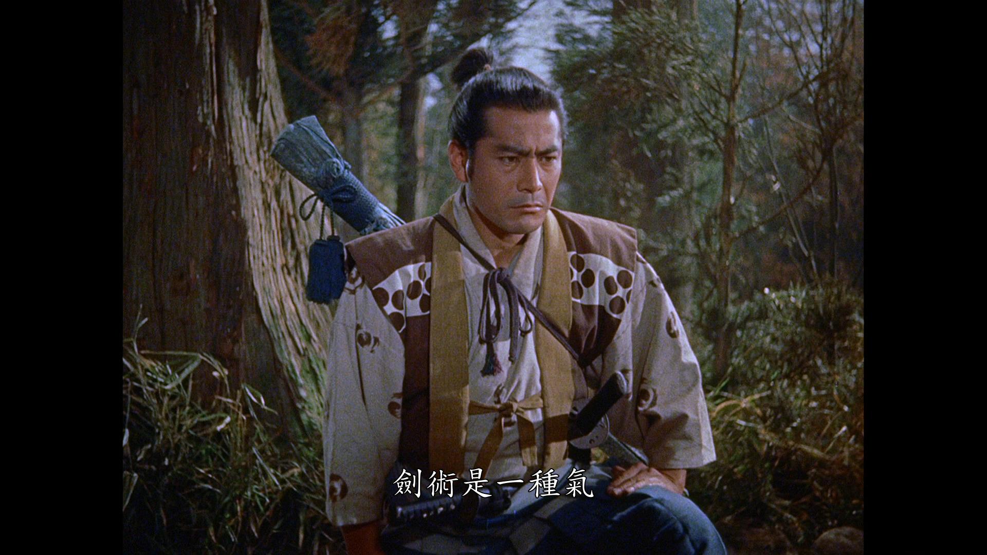 [宫本武藏2].Samurai.II.1955.TWN.BluRay.1080p.AVC.LPCM.1.0-NGPan    20.78G-5.jpg