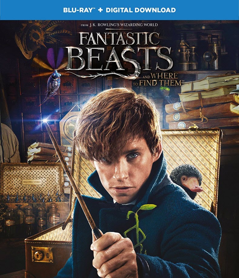 [神奇动物在哪里].Fantastic.Beasts.and.Where.to.Find.Them.2016.BluRay.1080p.AVC.TrueHD.7.1-DIY@HDPter    46.47G-1.jpg