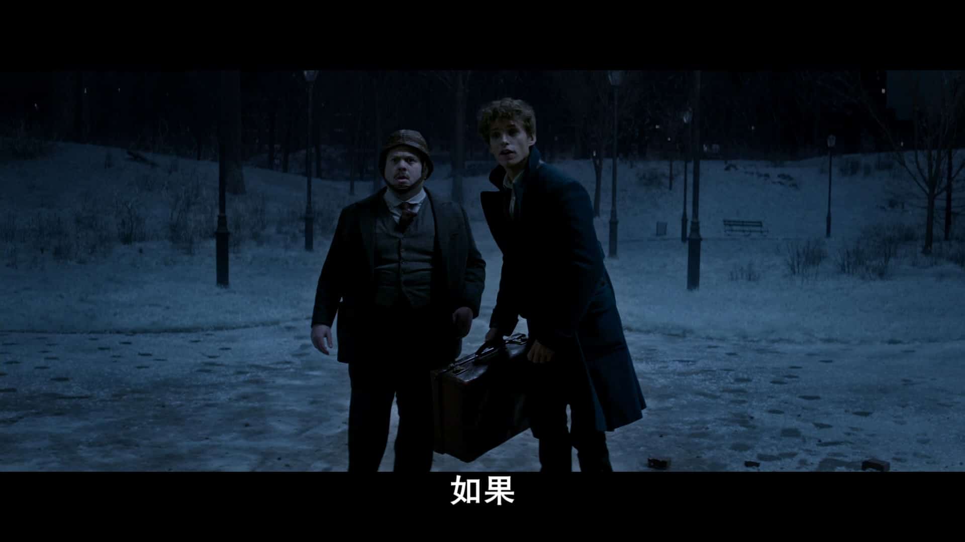 [神奇动物在哪里].Fantastic.Beasts.and.Where.to.Find.Them.2016.BluRay.1080p.AVC.TrueHD.7.1-DIY@HDPter    46.47G-4.jpg