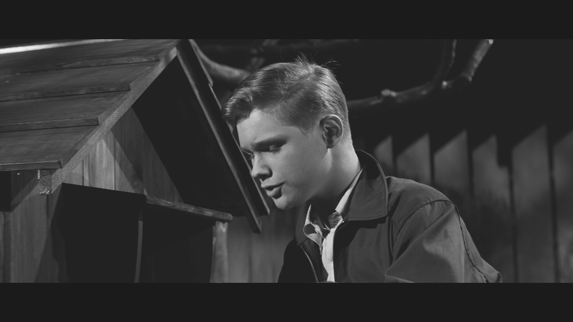 [春雾].Blue.Denim.1959.BluRay.1080p.AVC.DTS-HD.MA.5.1-NoGroup    25.14G+ ~9 W+ a/ P# ^3 @  `-2.png