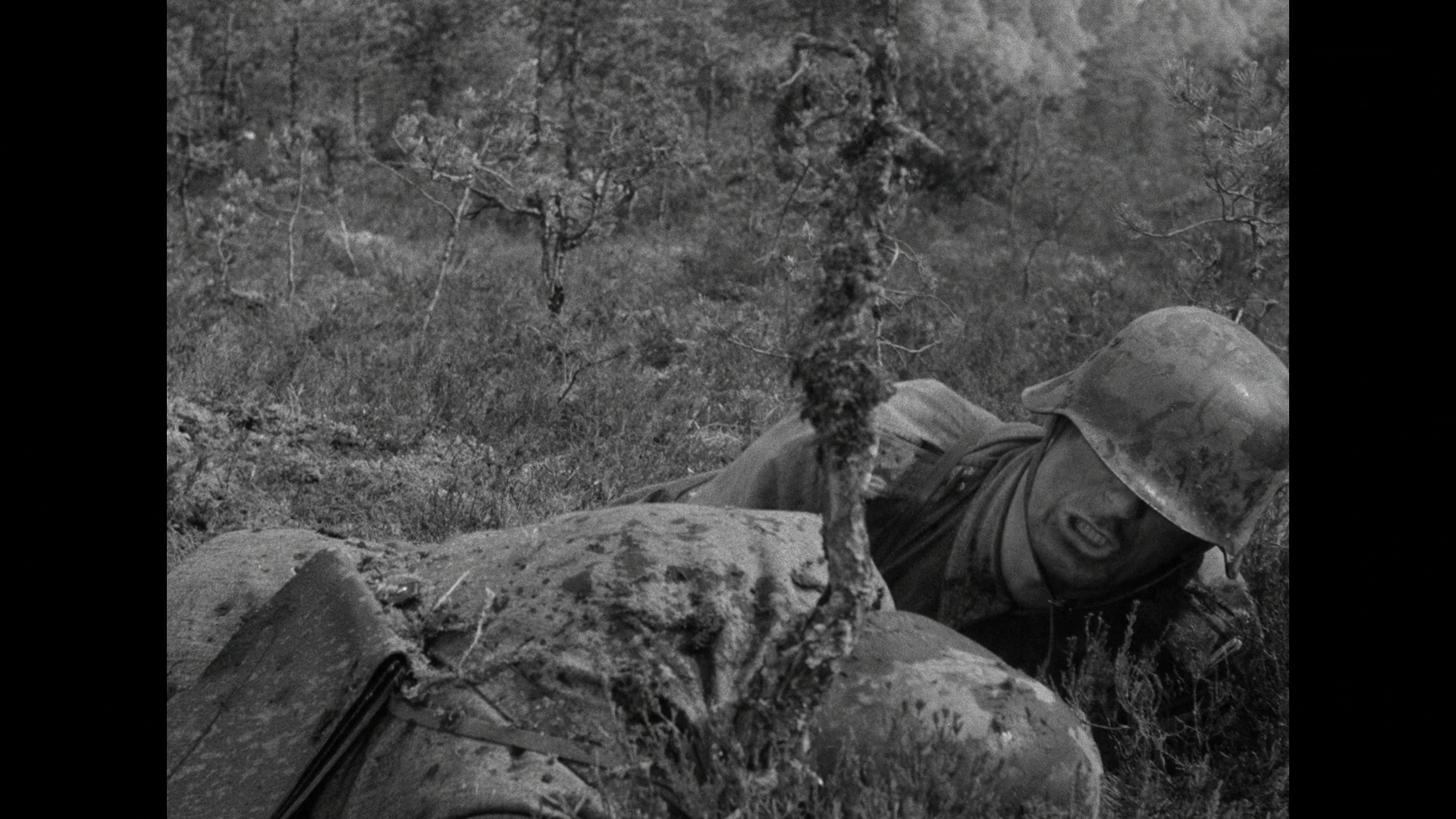 [无名战士].The.Unknown.Soldier.1955.BluRay.1080p.AVC.LPCM.2.0-SaMMie     44.92G- u! A5 T  a5 O! k1 j% i* r4 w2 ?-7.png