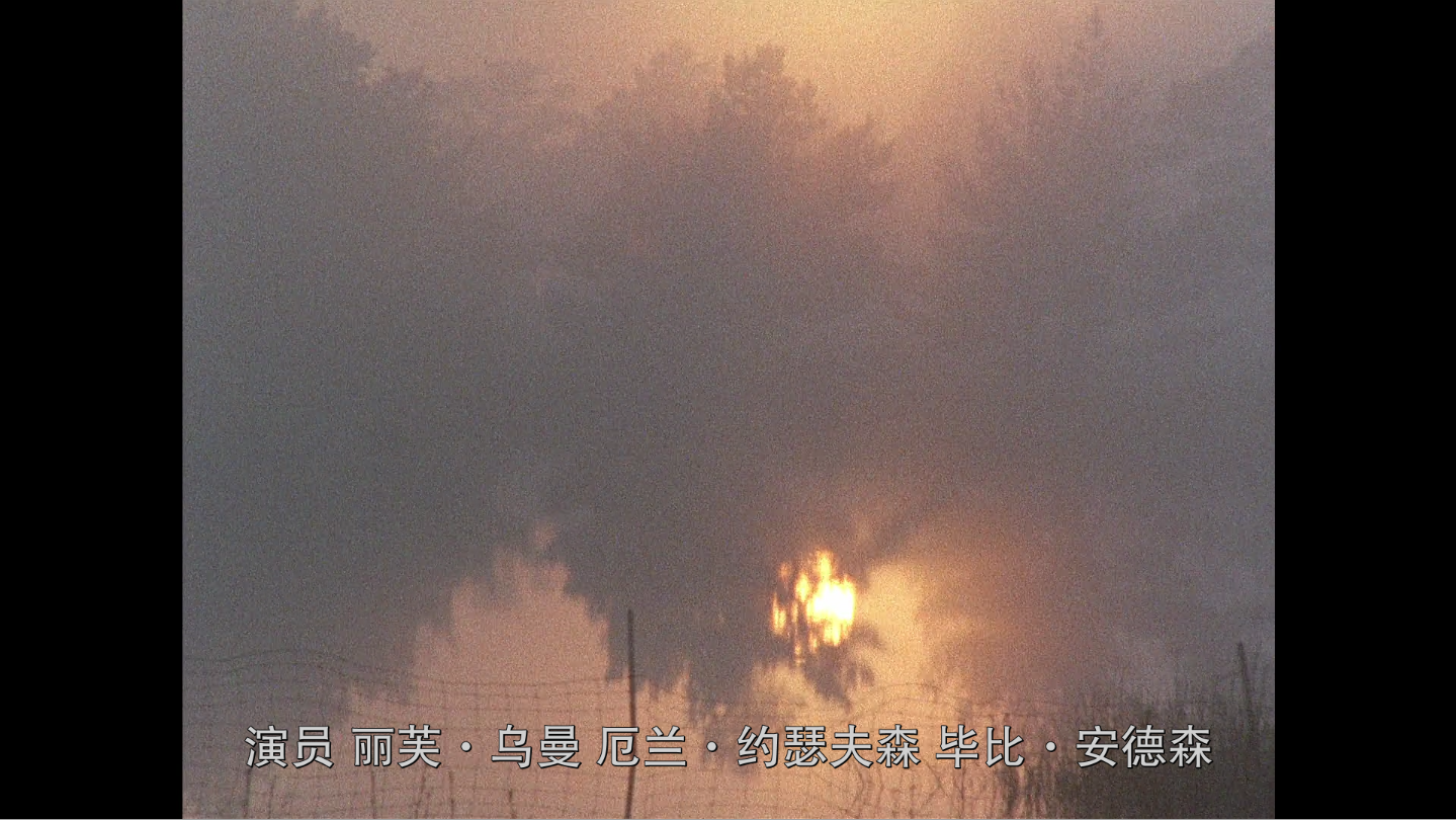 [婚姻生活].Scenes.from.a.Marriage.1973.TV.Version.CC.BluRay.1080p.AVC.LCPM.1.0@ZYN1998    46.64G3 G9 a0 X  n- \) f. \-11.png