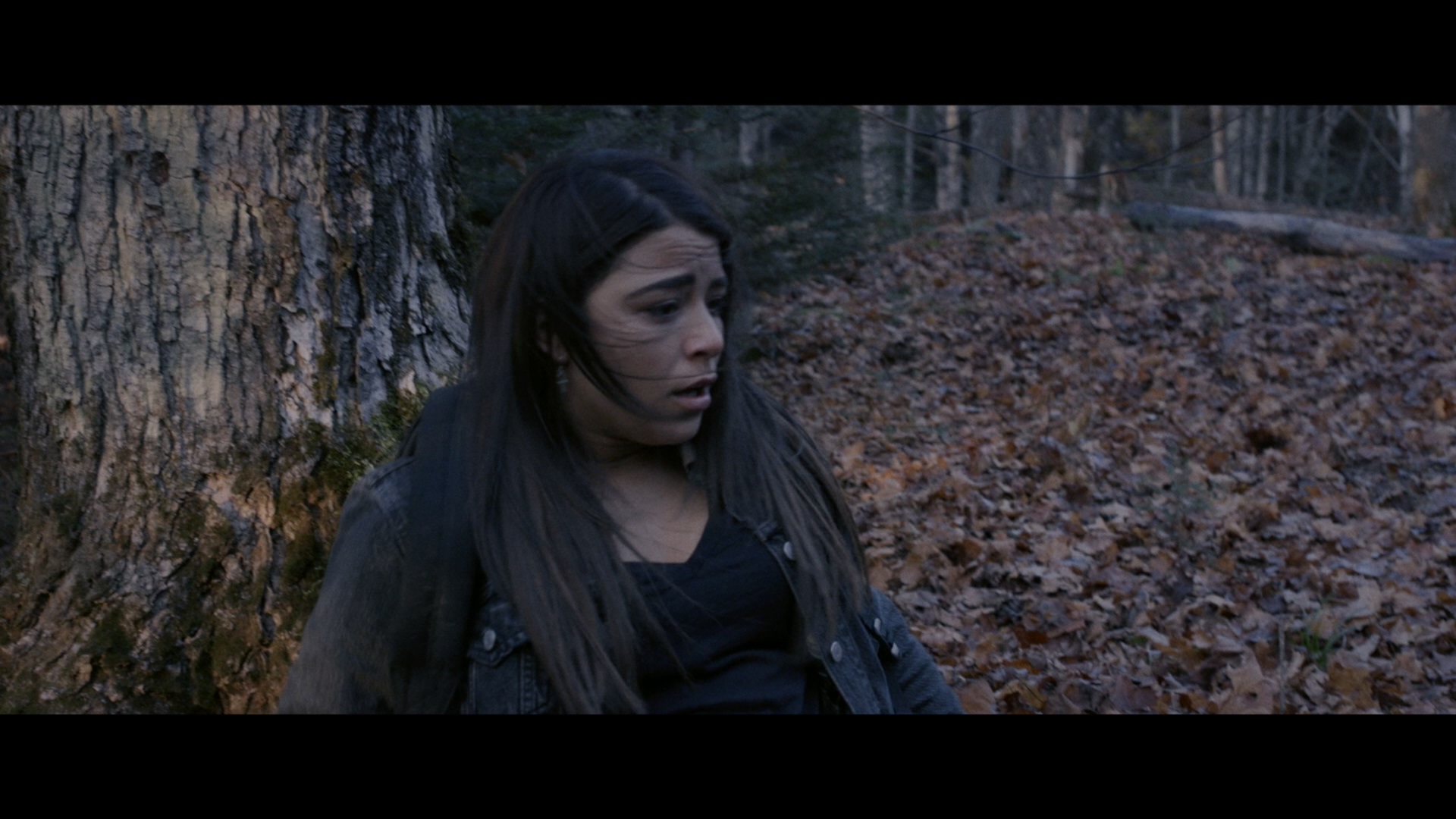 [猫妖].Pyewacket.2017.GER.BluRay.1080p.AVC.DTS-HD.MA.5.1-GMB    18.71G( G, b3 R% m. }* o/ n0 S3 c-2.jpg