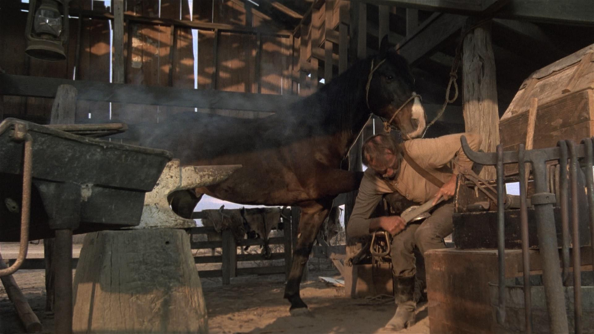 [寂寞之鸽].Lonesome.Dove.1989.Disc1.BluRay.1080p.VC-1.DD.5.1@ZYN1998    45.36G8 y, }+ }& w7 S! R! Q( _-4.png