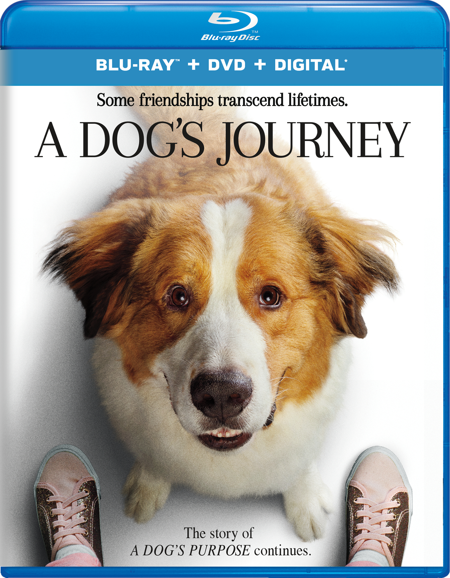 [一条狗的使命2].A.Dog's.Journey.2019.TWN.BluRay.1080p.AVC.TrueHD.7.1-nLiBRA     42.21G-1.jpg