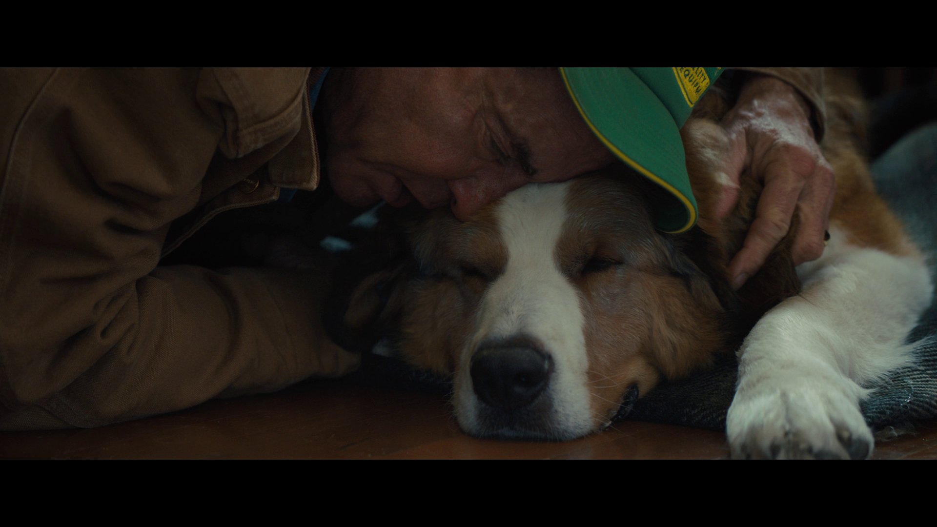 [一条狗的使命2].A.Dog's.Journey.2019.TWN.BluRay.1080p.AVC.TrueHD.7.1-nLiBRA     42.21G-4.png