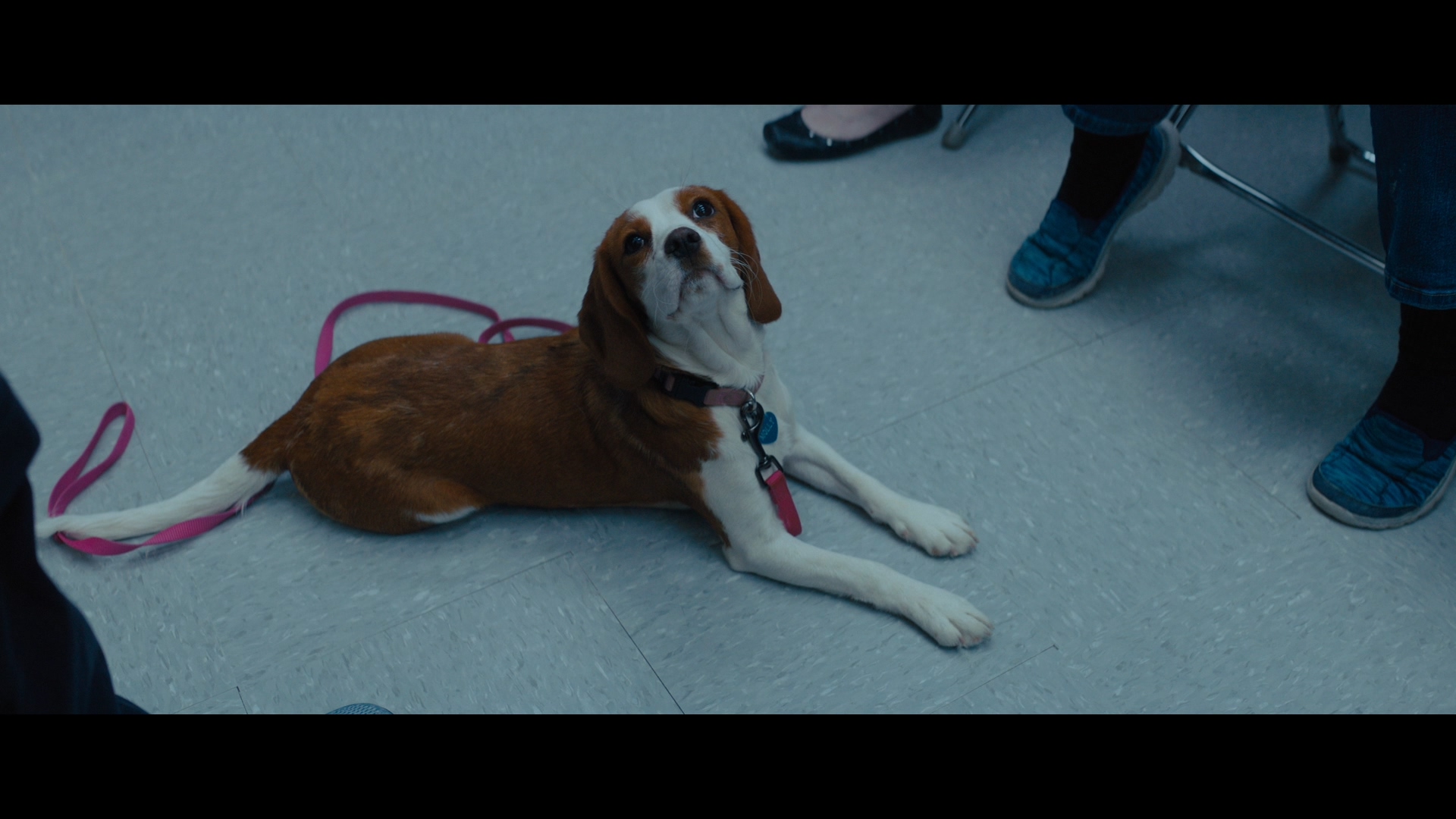 [一条狗的使命2].A.Dog's.Journey.2019.TWN.BluRay.1080p.AVC.TrueHD.7.1-nLiBRA     42.21G-6.jpg