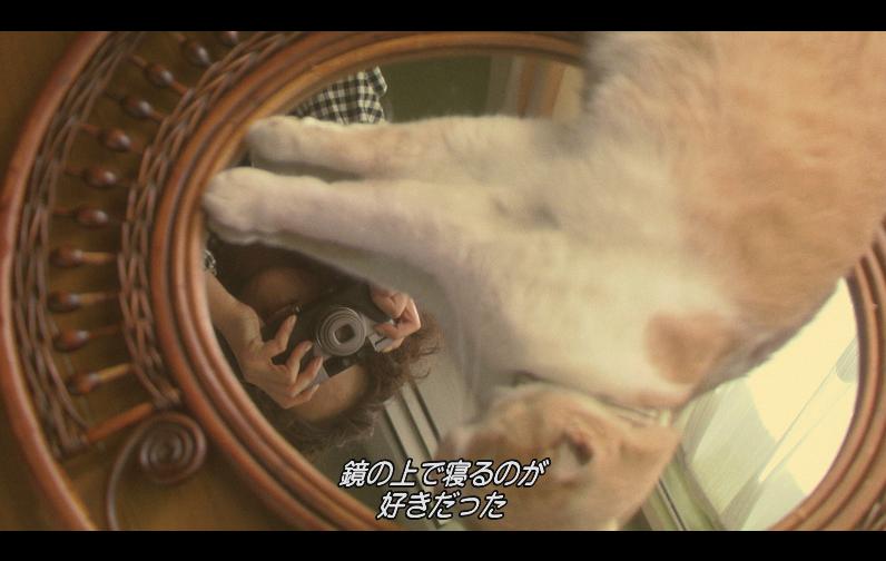 [咕咕是一只猫].Gu.Gu.The.Cat.2008.JPN.BluRay.1080p.AVC.DTS-HD.MA.5.1-NoGroup    42.51G-3.jpg