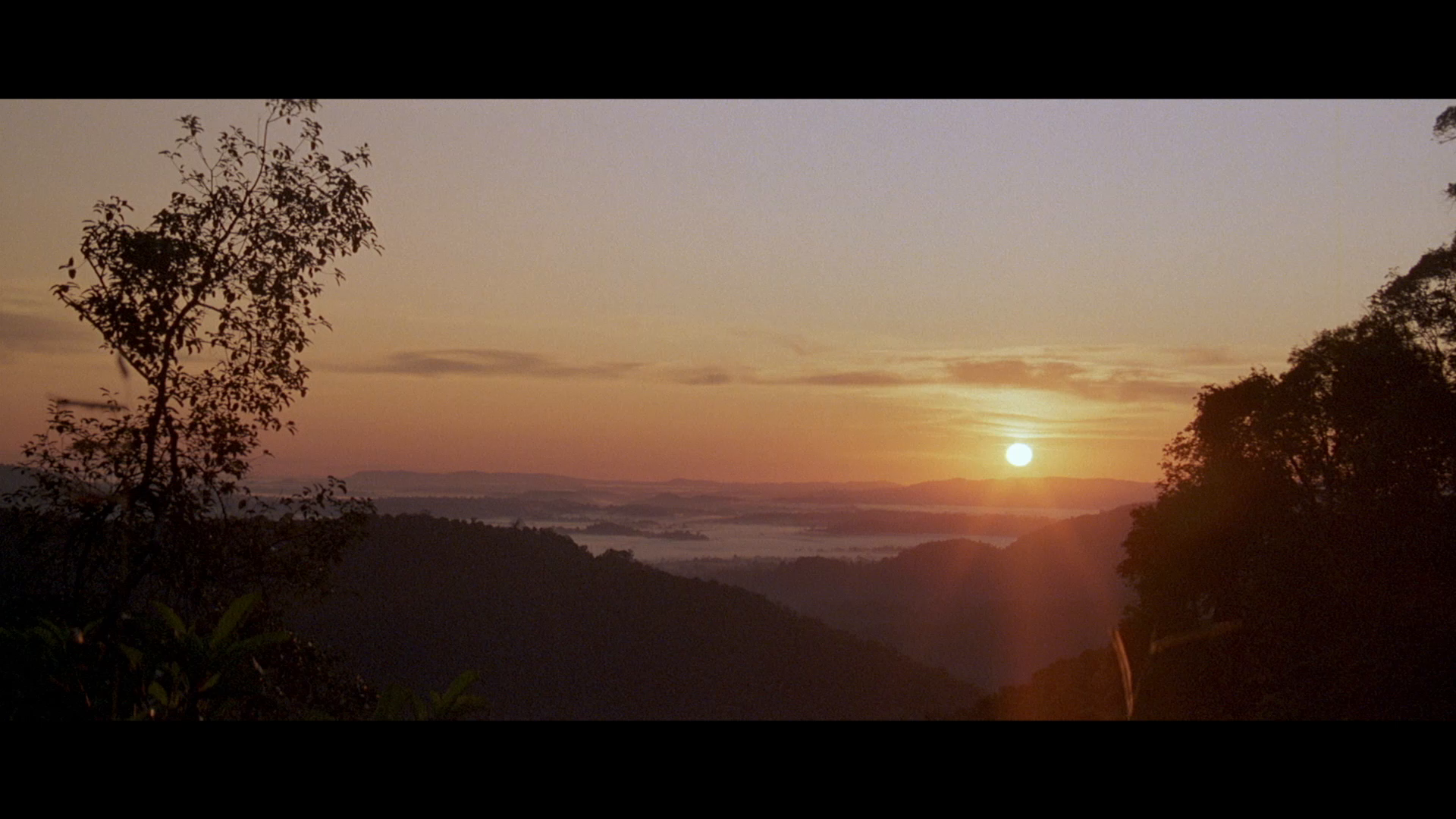 [翡翠森林].The.Emerald.Forest.1985.BluRay.1080p.AVC.LPCM.2.0-OLDHAM     30.62G  @! ^: W$ K& |8 u7 D-5.png