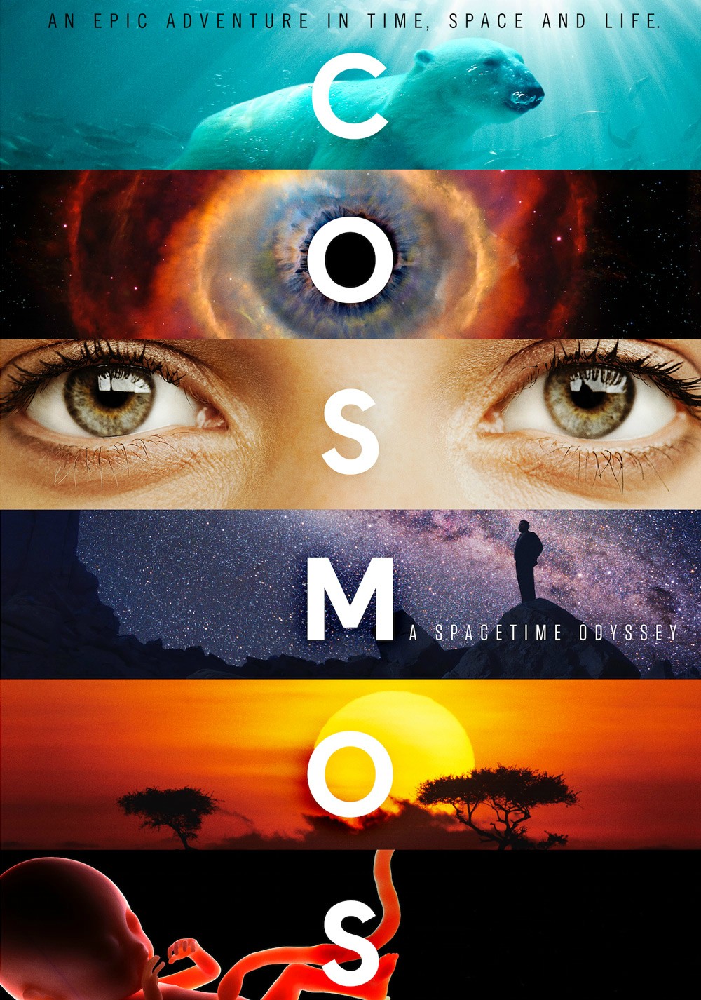 [宇宙·时空之旅].Cosmos.A.SpaceTime.Odyssey.S01D02.2014.BluRay.1080p.AVC.DTS-HD.MA.5.1-0xC0    44.3G4 A6 D, m3 F3 w* l3 M3 z5 q-2.jpg