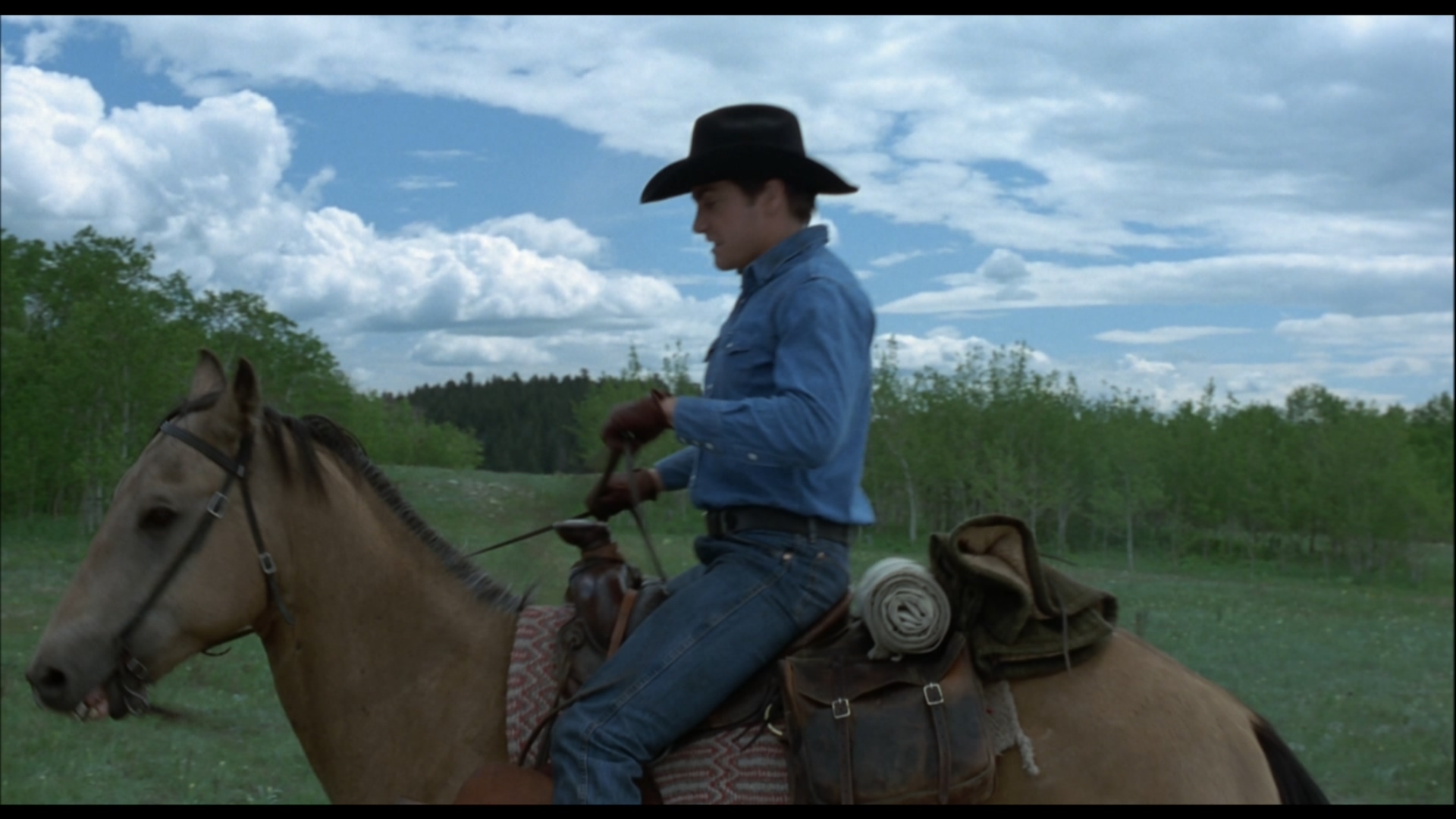 [断背山].Brokeback.Mountain.2005.NLD.BluRay.1080p.AVC.DD.5.1-NoGroup    20.6G-3.jpg