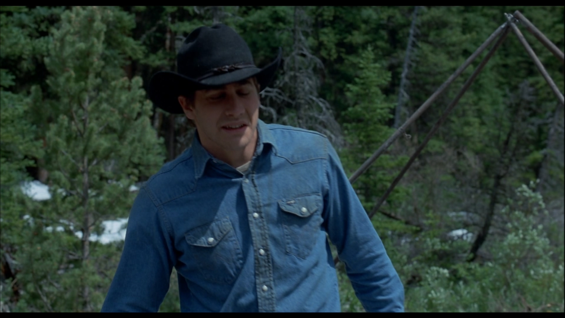 [断背山].Brokeback.Mountain.2005.NLD.BluRay.1080p.AVC.DD.5.1-NoGroup    20.6G-5.jpg