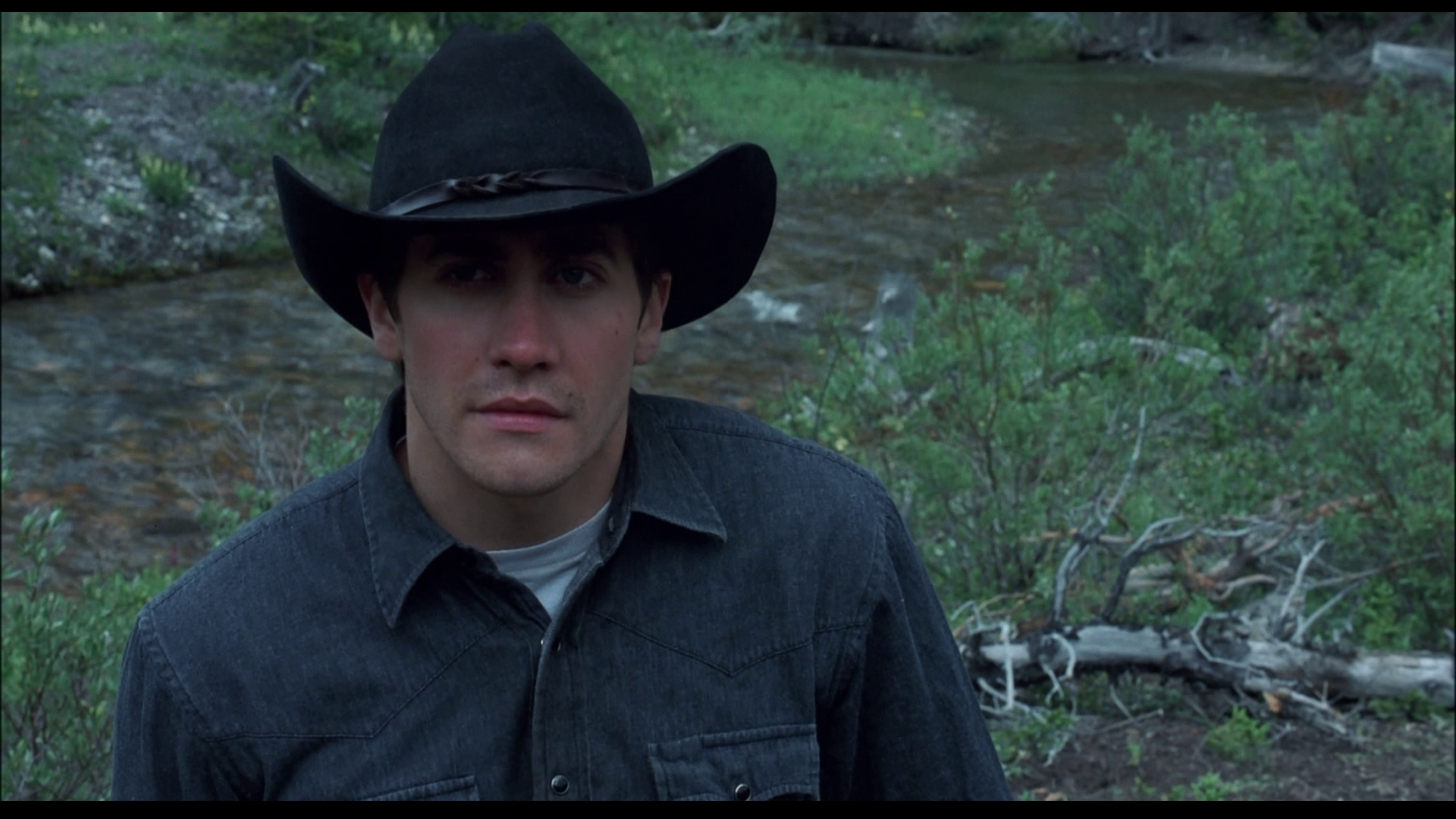 [断背山].Brokeback.Mountain.2005.NLD.BluRay.1080p.AVC.DD.5.1-NoGroup    20.6G-11.png