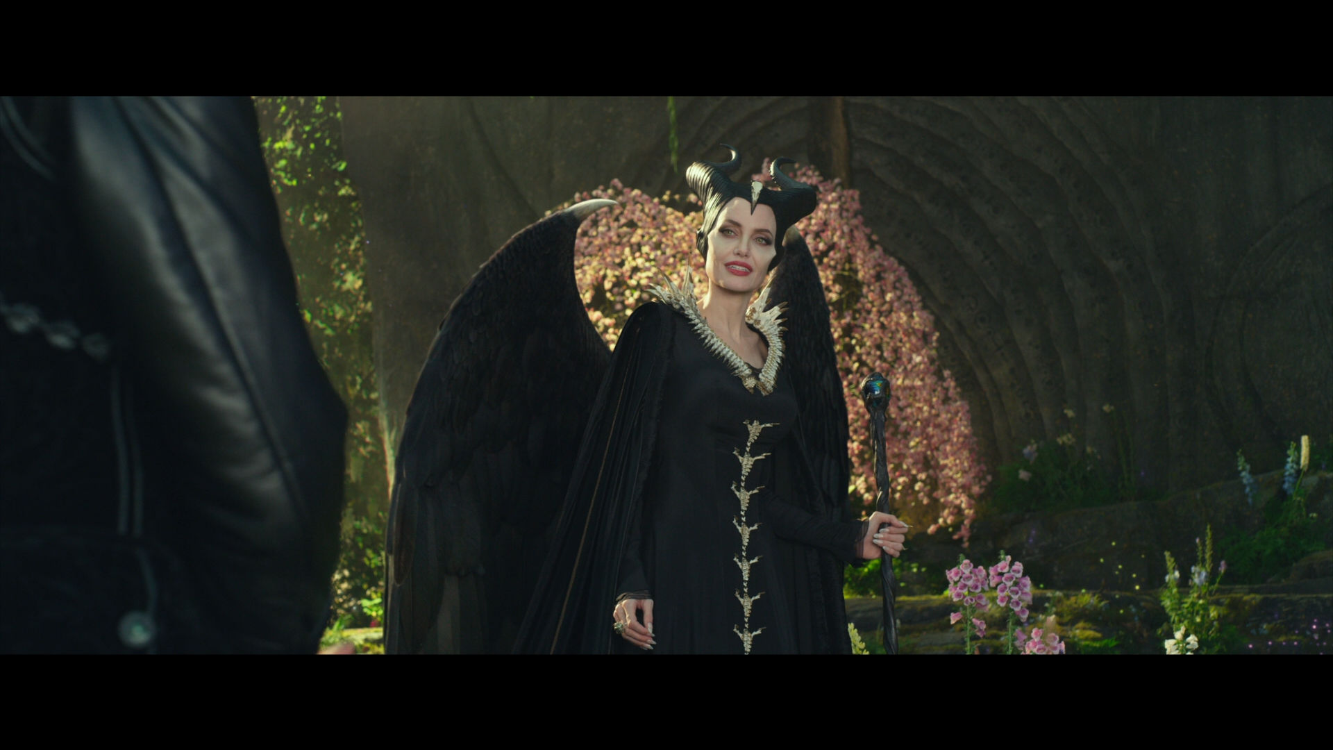 [沉睡魔咒2].Maleficent.Mistress.of.Evil.2019.TWN.BluRay.1080p.AVC.DTS-HD.MA.7.1-nLiBRA     41.89G9 M' \& \; r7 f-14.png