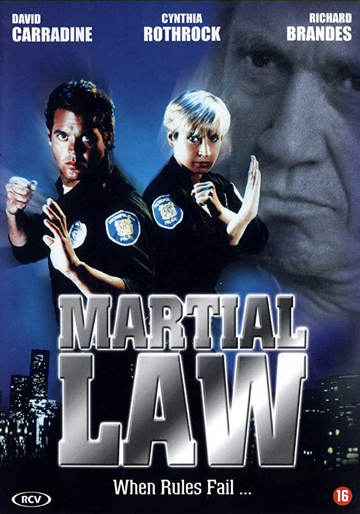 [卧底飞龙1-2].Martial.Law.1990.Martial.Law.2.Undercover.1991.GER.BluRay.1080p.AVC.DD.2.0.DIY-NGPan     39.33G-2.jpg