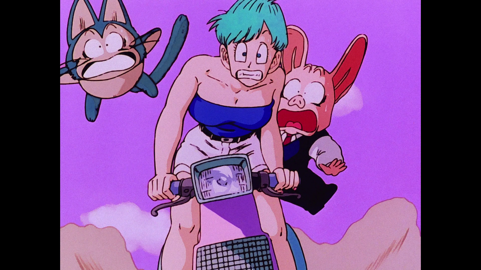 [龙珠Z].Dragon.Ball.Z.1996.D1.30th.Anniversary.BluRay.1080p.AVC.TrueHD.5.1-NoGroup    43.5G-3.png