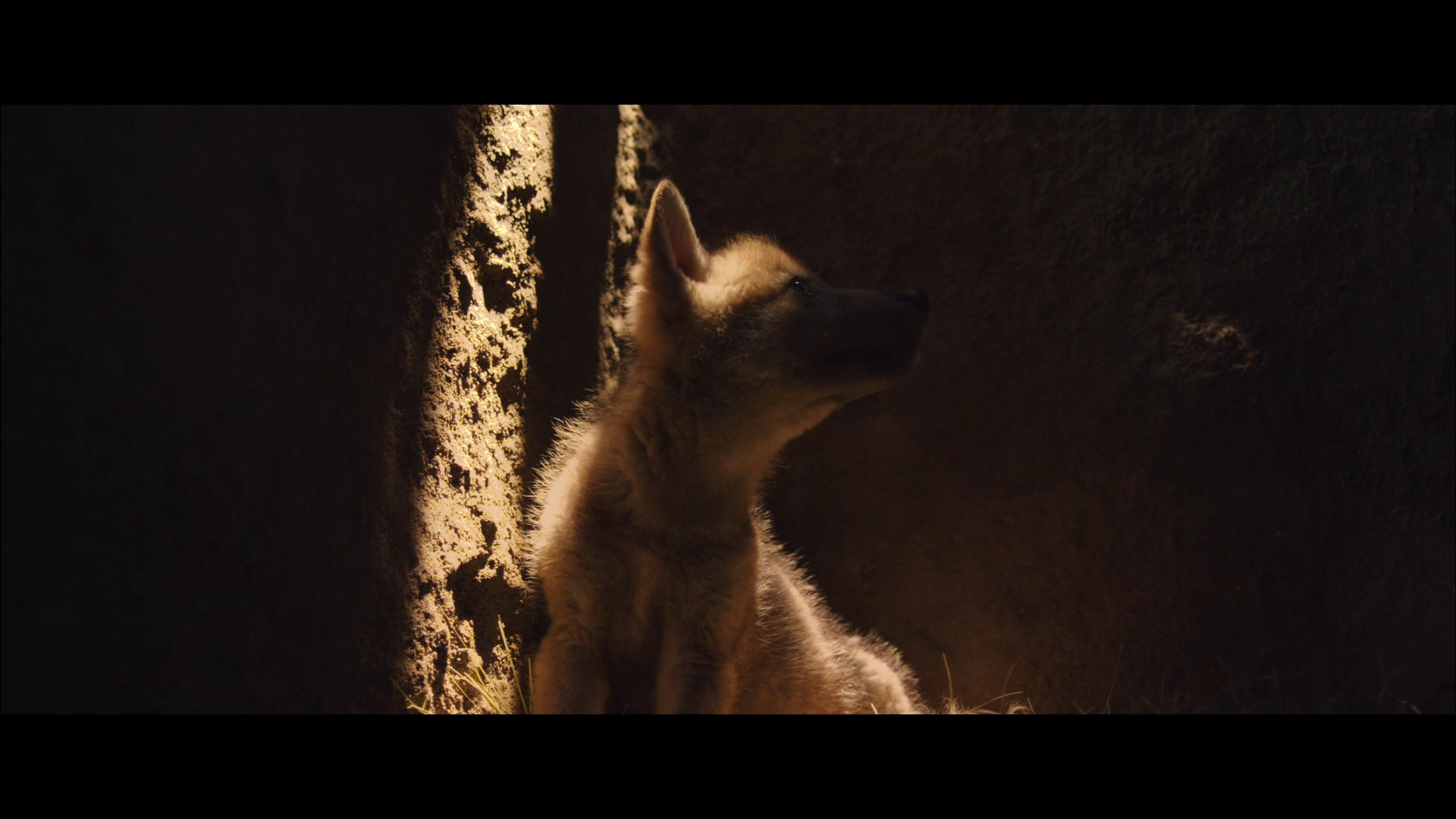 [狼图腾].Wolf.Totem.2015.HKG.BluRay.1080i.AVC.TrueHD.5.1-Dave    22.48G-18.png