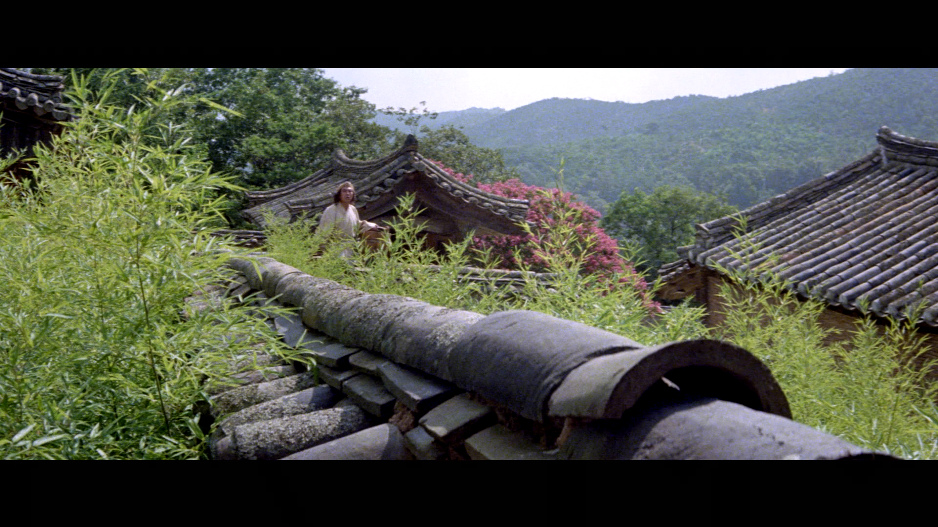 [空山灵雨].Raining.in.the.Mountain.1979.GBR.BluRay.1080p.AVC.LPCM.1.0-VEXHD     38.08G-4.png