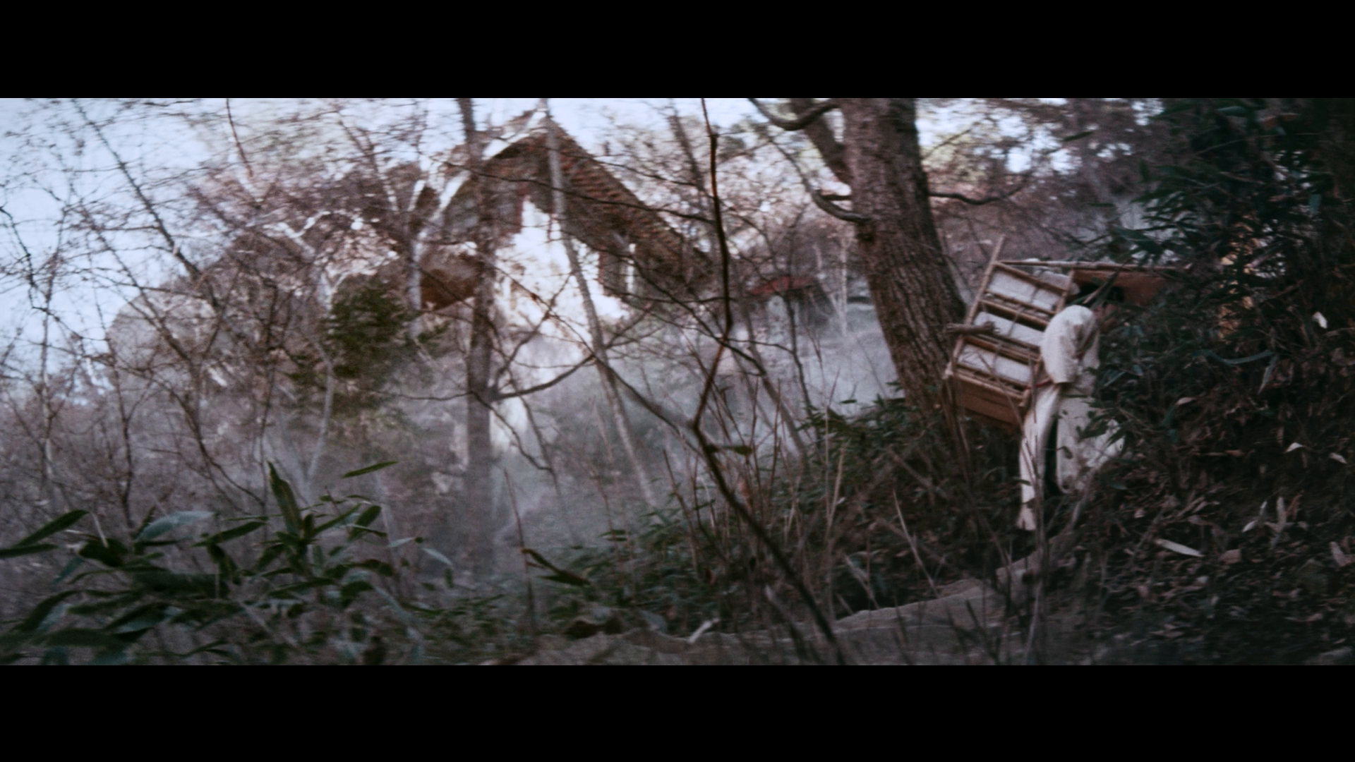 [空山灵雨].Raining.in.the.Mountain.1979.GBR.BluRay.1080p.AVC.LPCM.1.0-VEXHD     38.08G-10.png