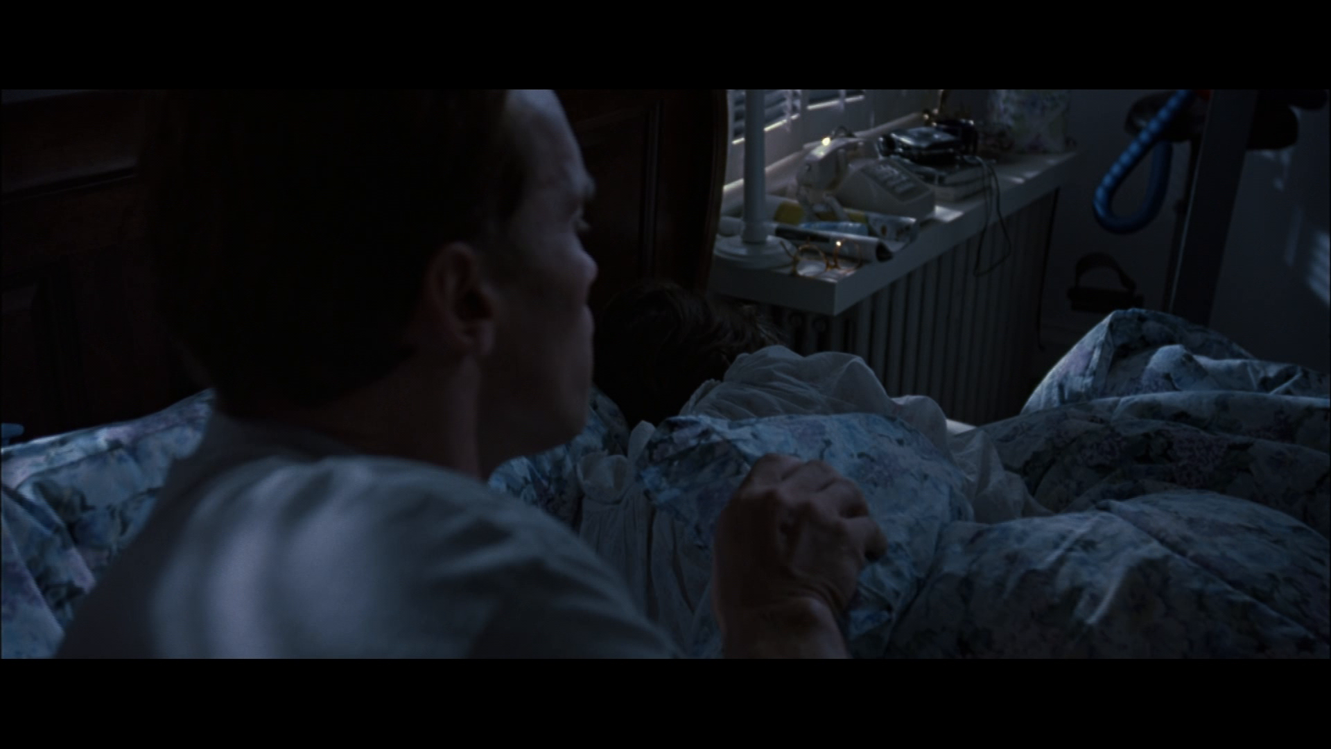 [真实的谎言].True.Lies.1994.BluRay.1080i.MPEG-2.DTS.5.1-DIY@huilan     26.34G-9.png