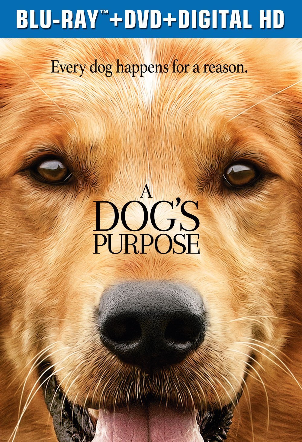 [一条狗的使命].A.Dog's.Purpose.2017.BluRay.1080p.AVC.DTS-HD.MA.5.1-lingfriendly@OurBits     39.28G-1.jpg