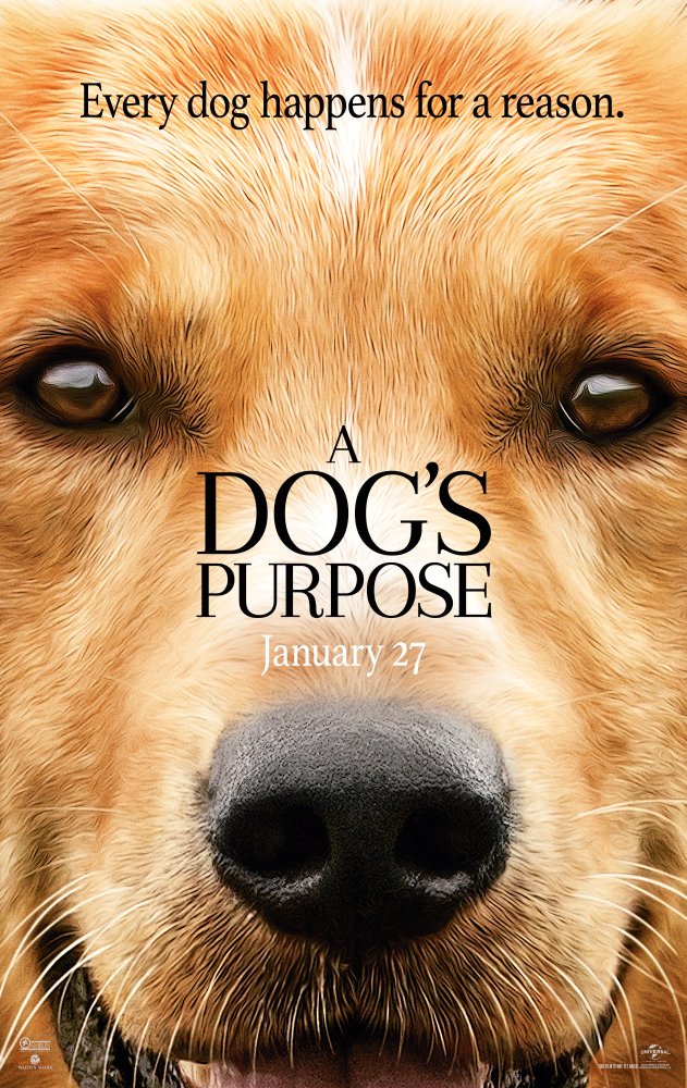 [一条狗的使命].A.Dog's.Purpose.2017.BluRay.1080p.AVC.DTS-HD.MA.5.1-lingfriendly@OurBits     39.28G-2.jpg