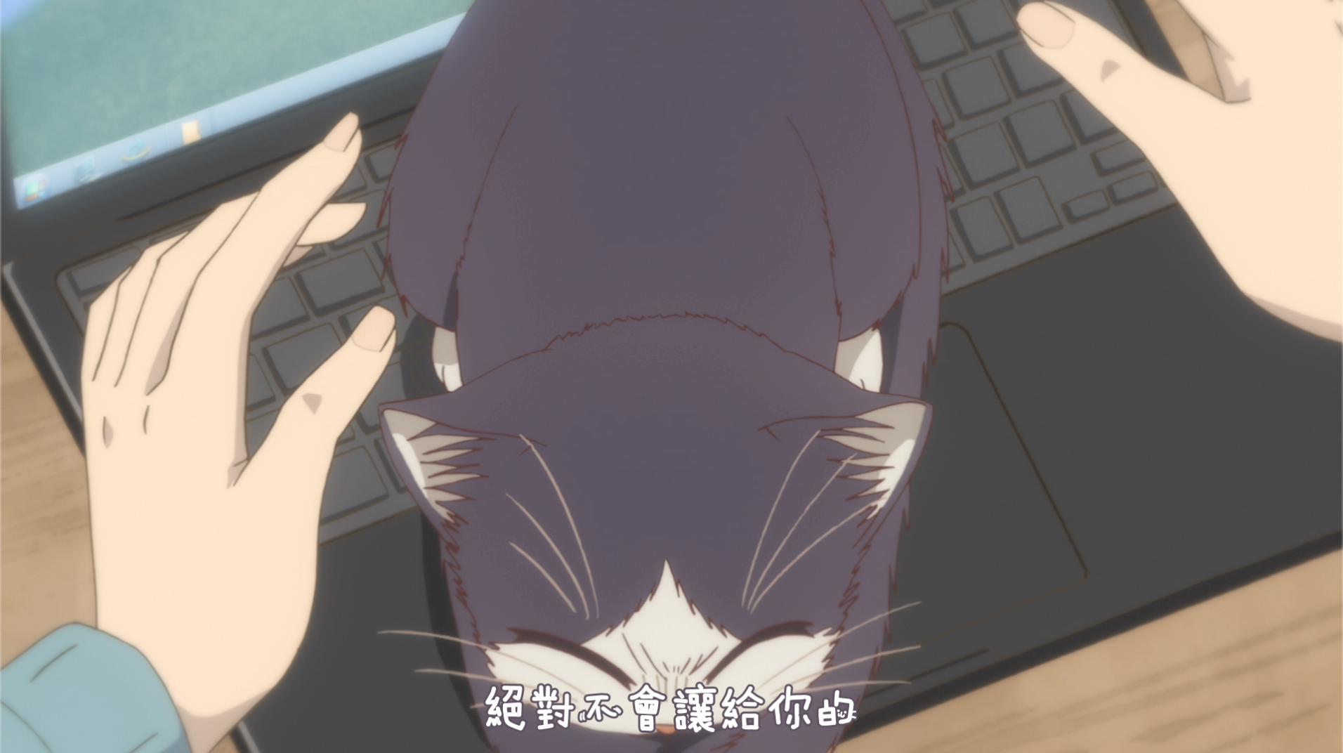 [同居人是猫].My.Roommate.is.a.Cat.S01Vol1D01.2019.JPN.BluRay.1080p.AVC.LPCM.2.0@jiulinxiri     13.22G-5.png