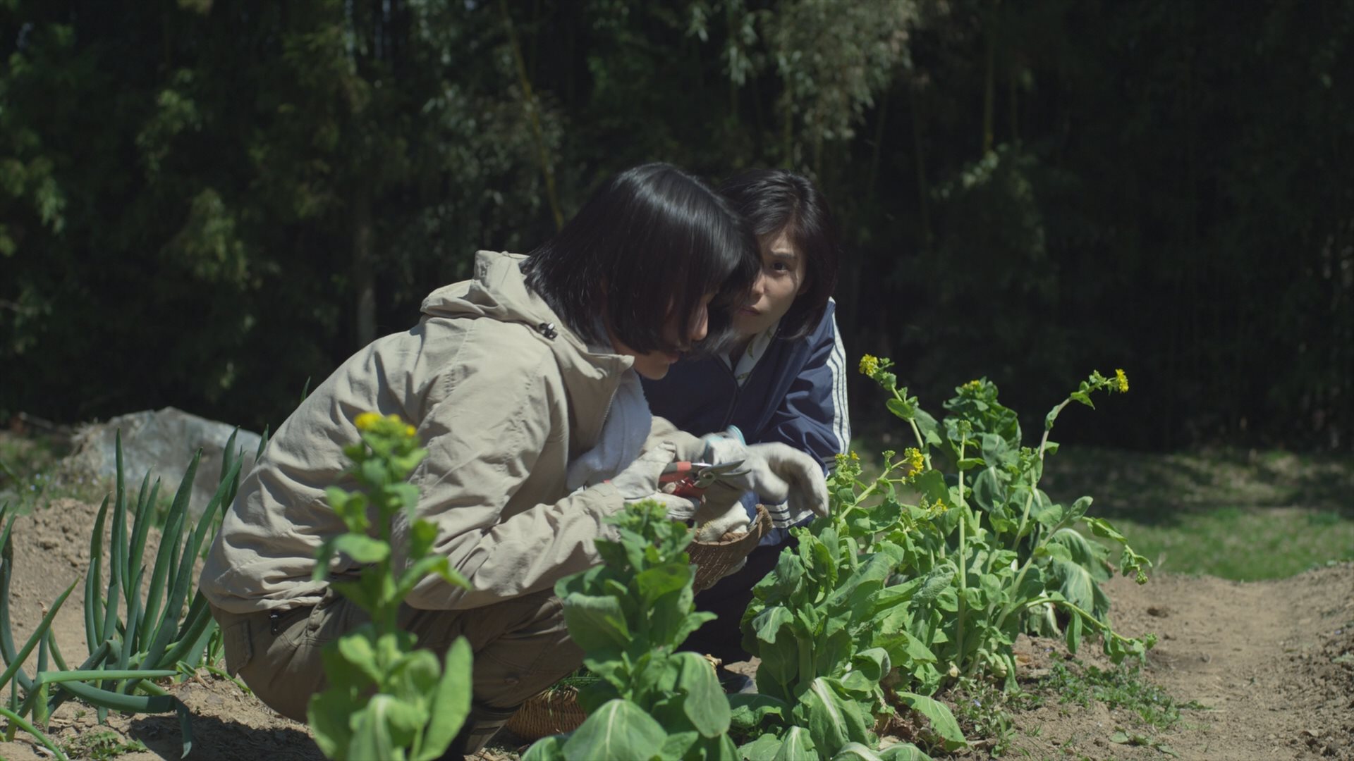 [小森林.冬春篇].Little.Forest.Winter.Spring.2015.BluRay.1080p.AVC.DTS-HD.MA.5.1-HDSHARE   44.24G-6.jpg