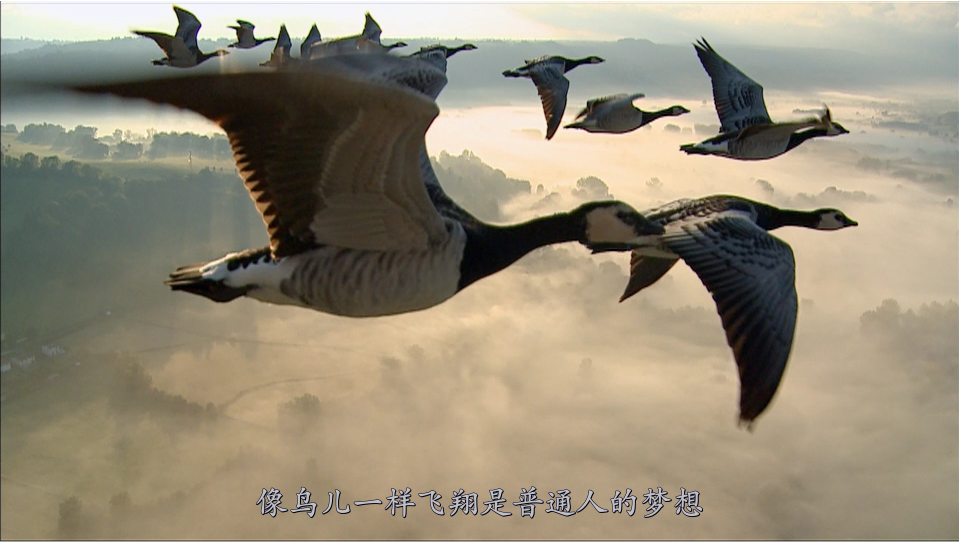 [鸟瞰地球].Earthflight.2011.Disc1.GBR.BluRay.1080i.AVC.LPCM.2.0-DIY@3201     40.28G-5.png